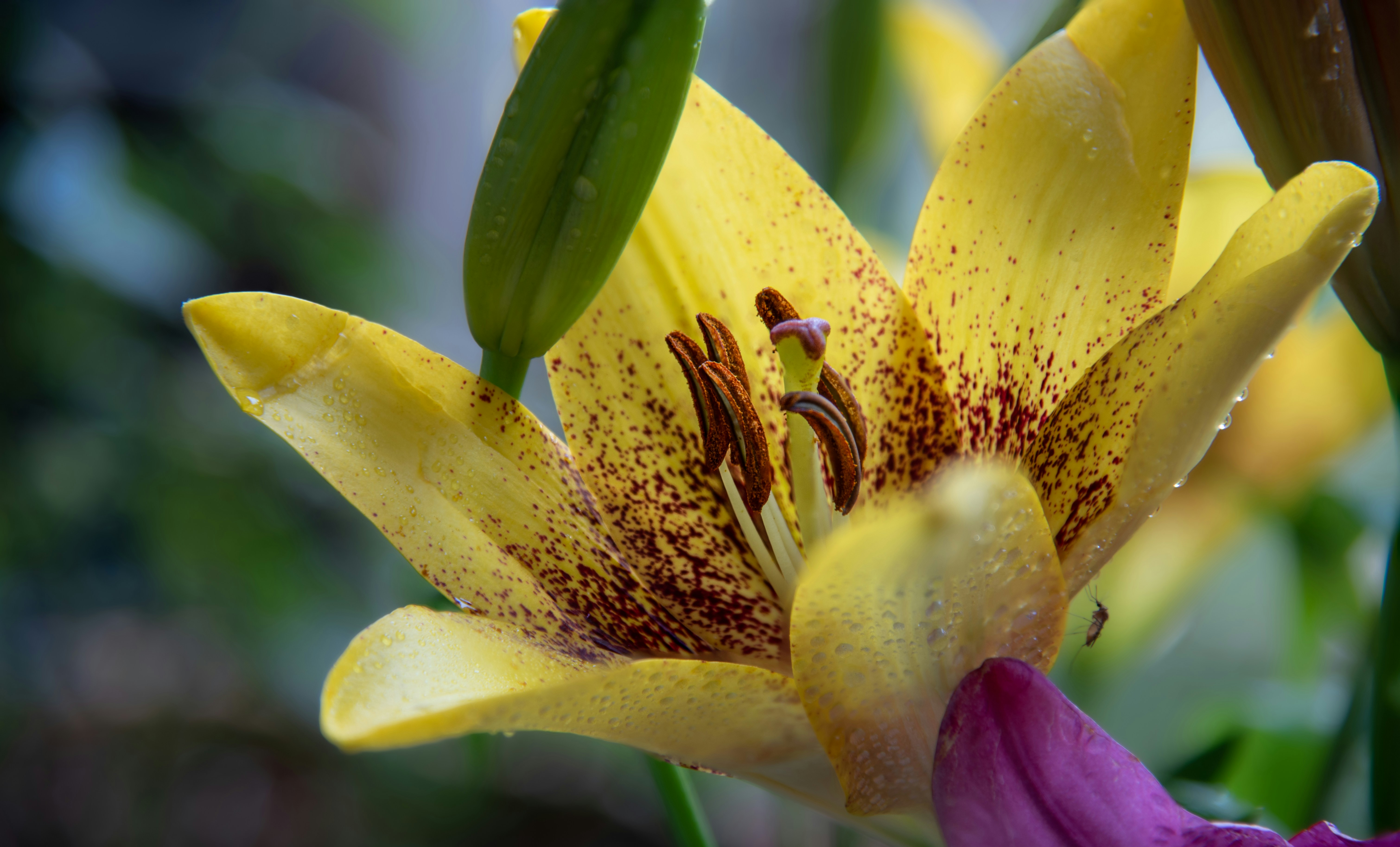 Photo by happy_pixel