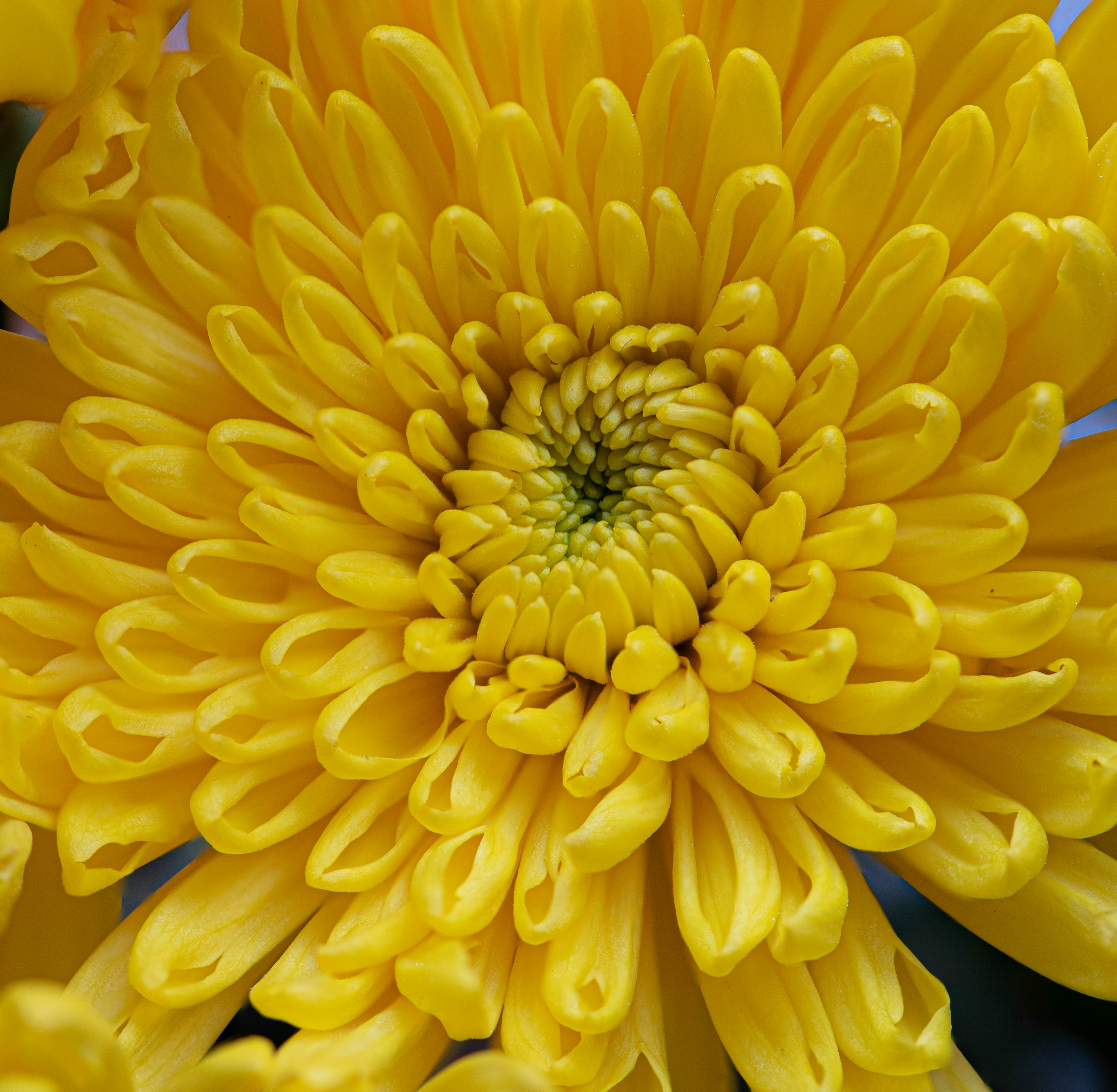 Photo by happy_pixel