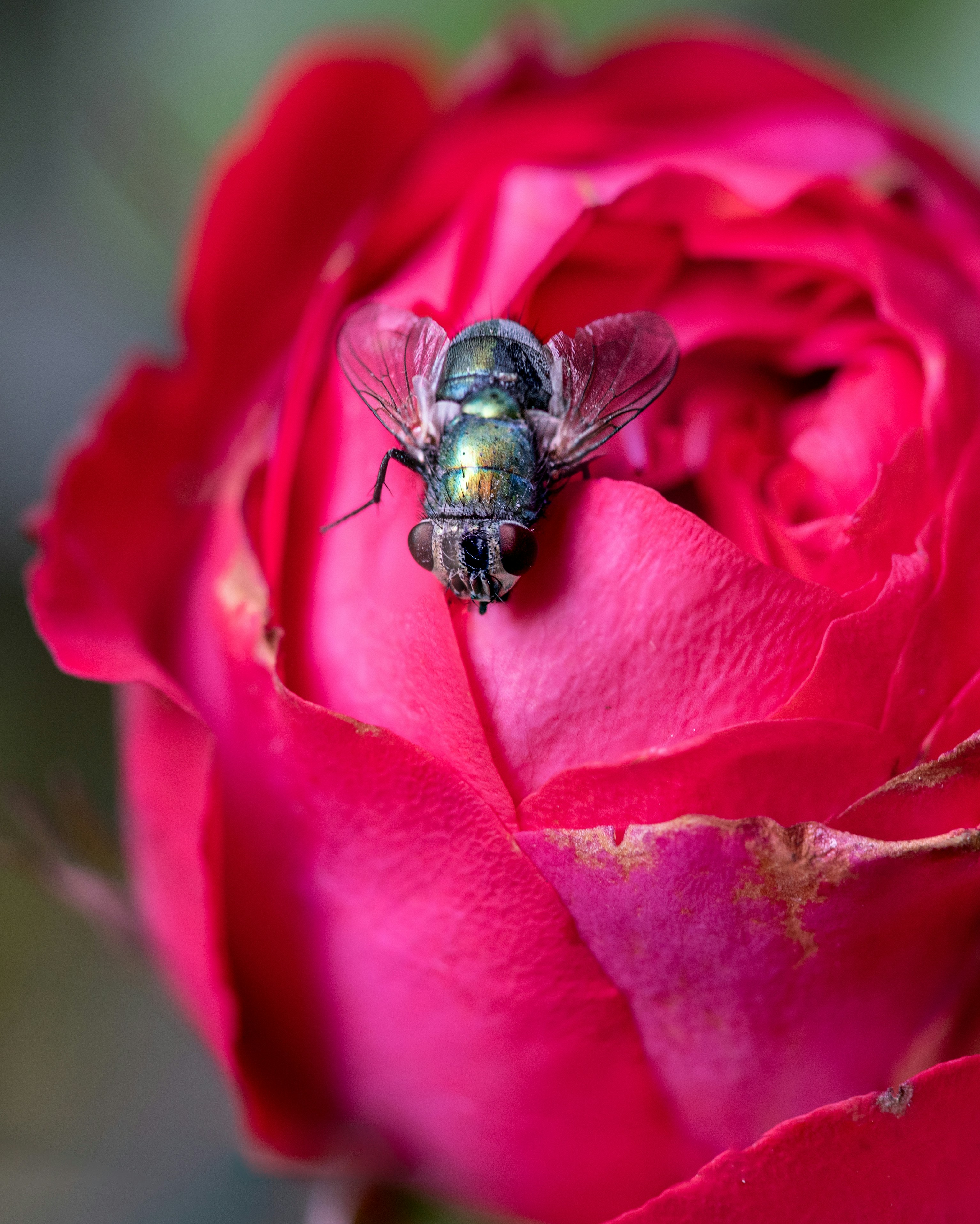 Photo by happy_pixel