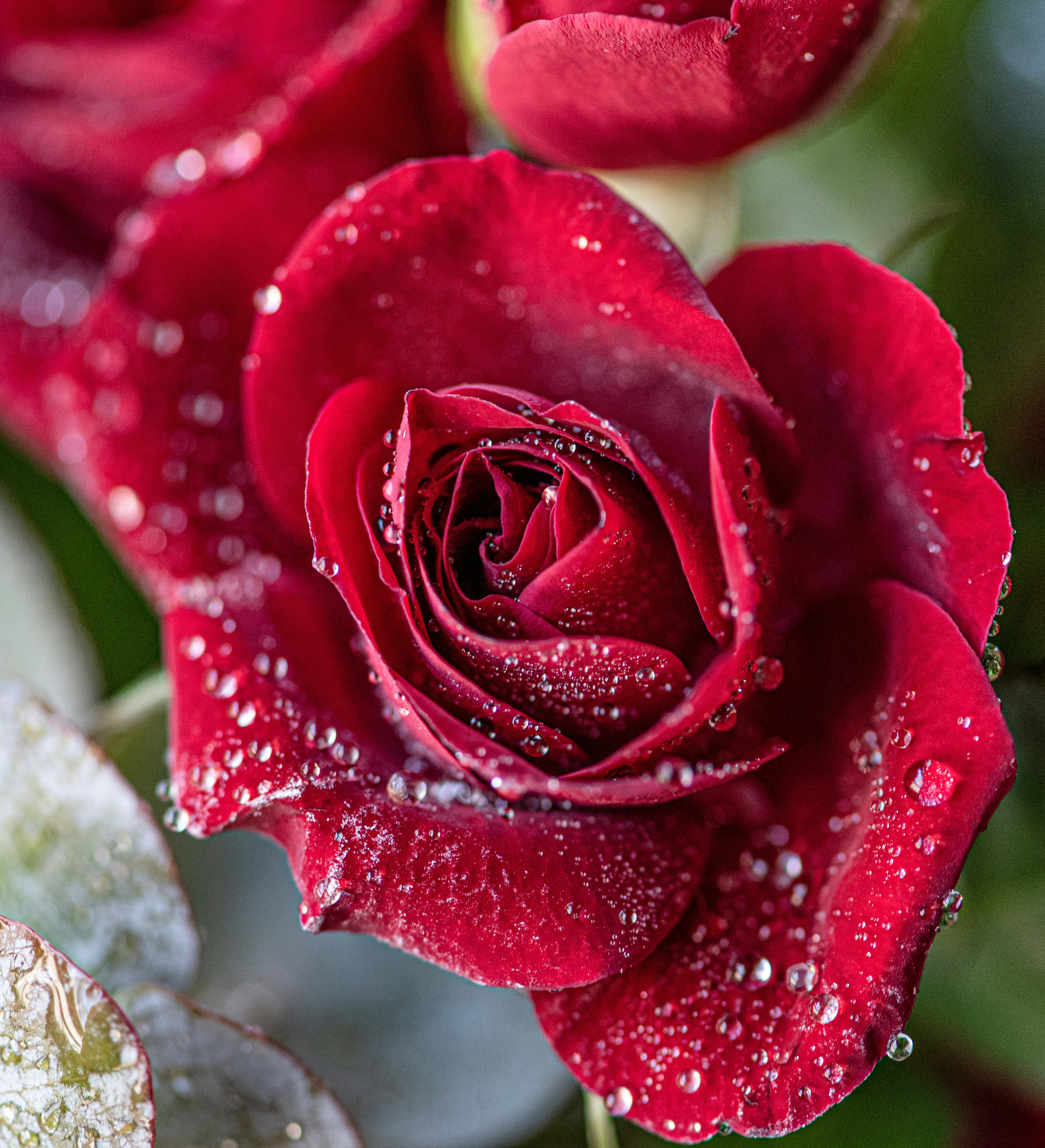 Photo by happy_pixel