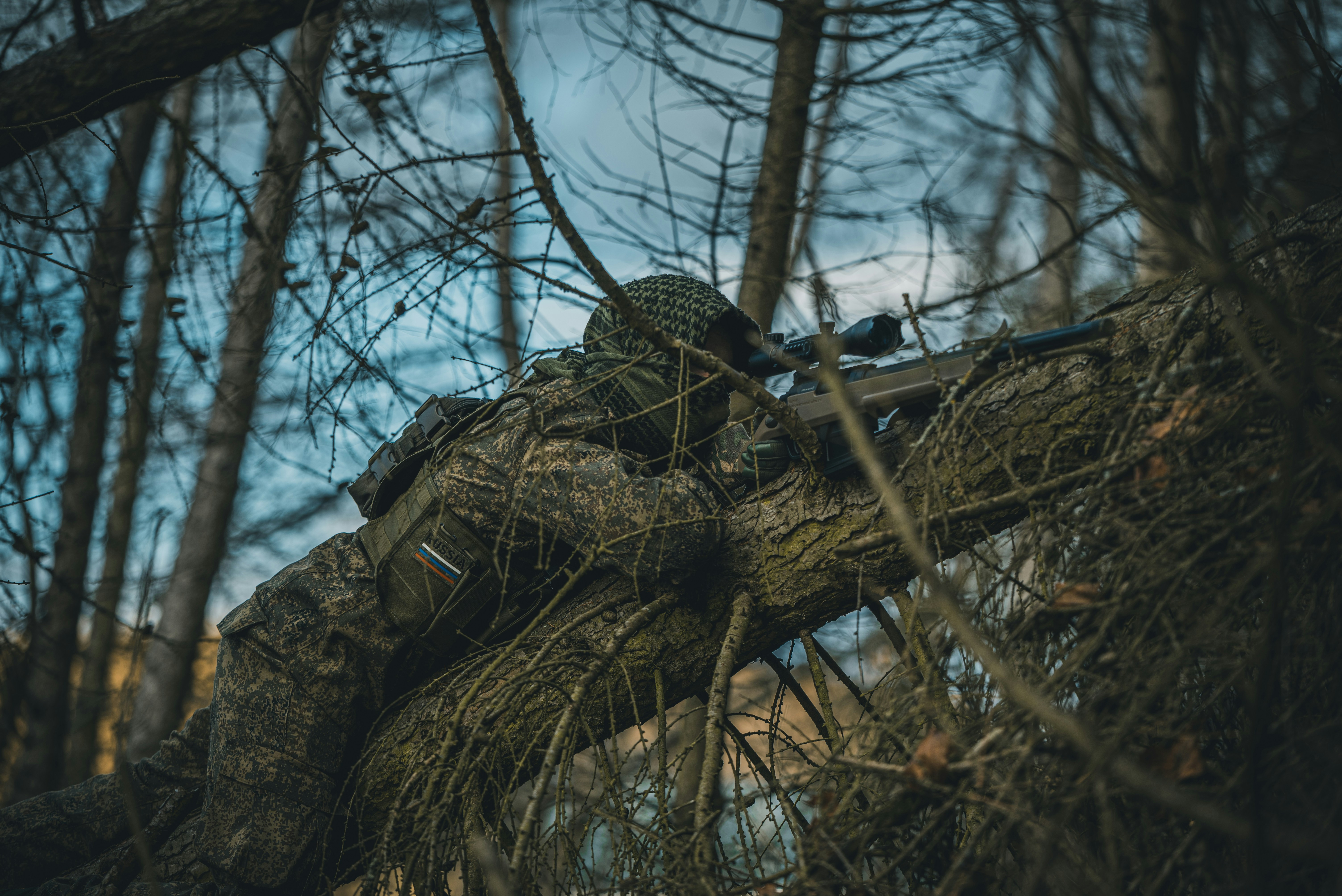 een boom met een huis erin