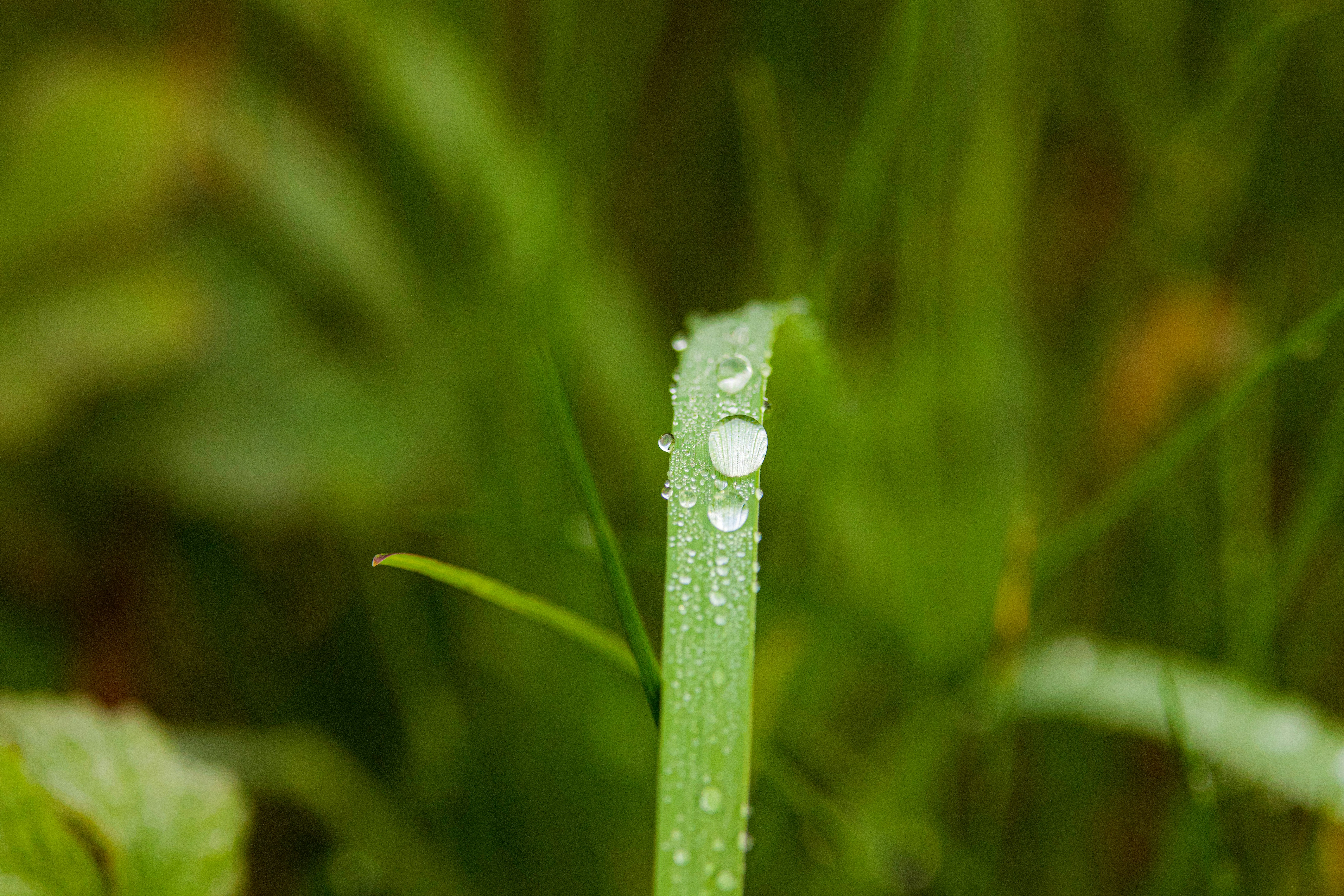 Photo by heather_wilde