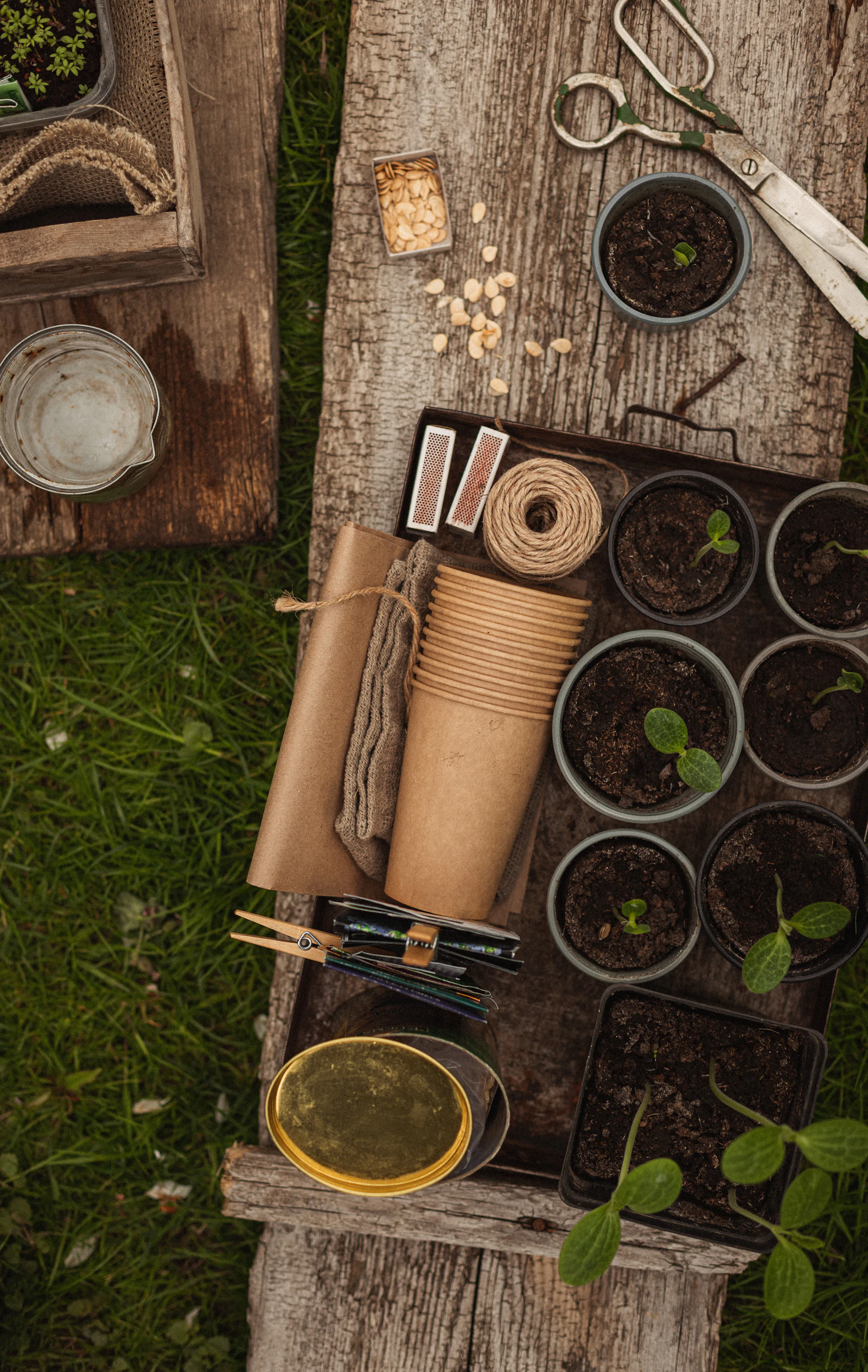 Accesorios y herramientas esenciales de jardinería