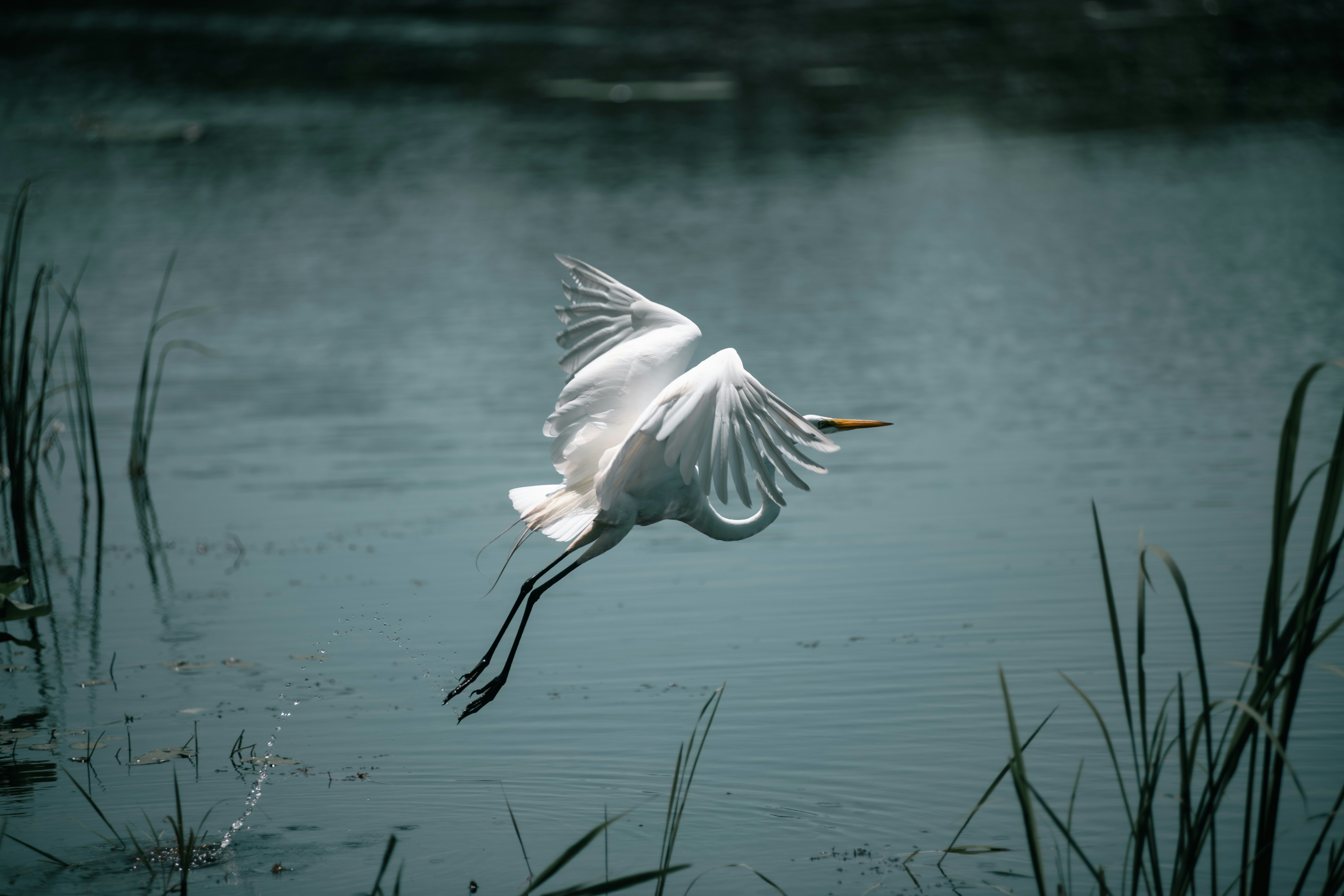 Photo by rickyvaughn2