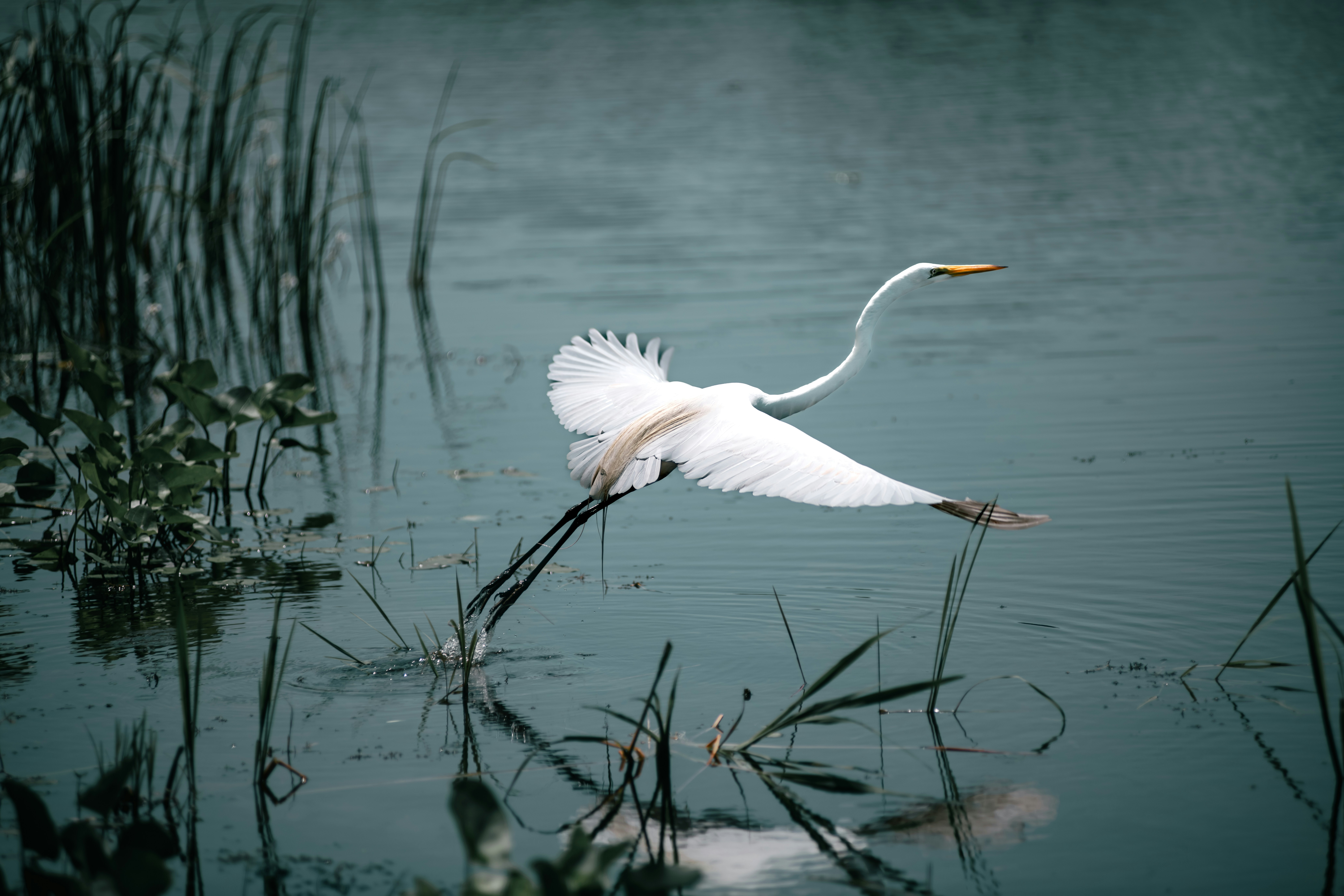 Photo by rickyvaughn2