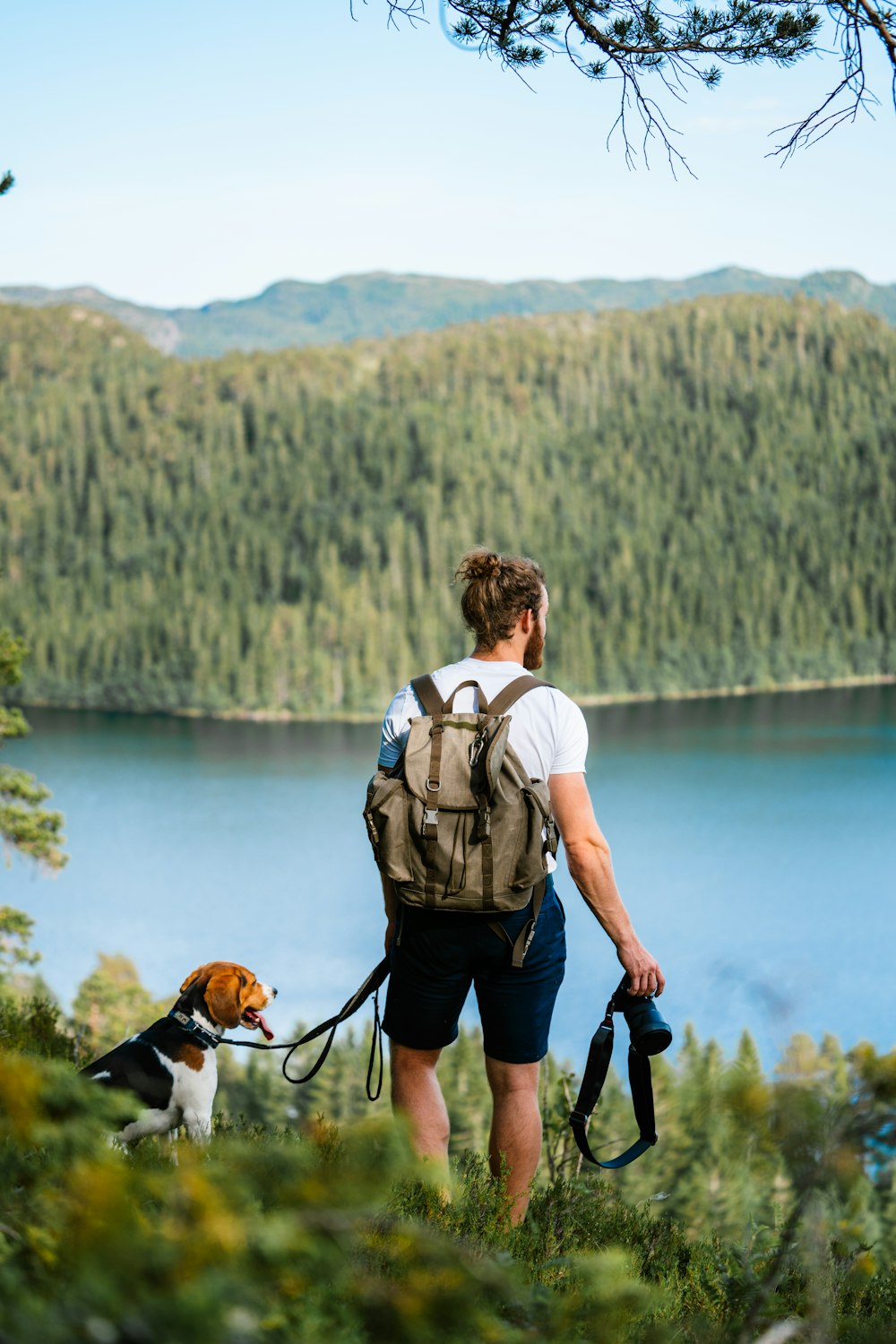 eine Person mit einem Hund an der Leine an einem See
