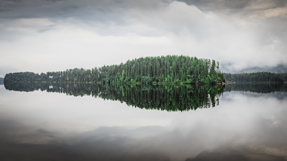 a body of water with trees in it