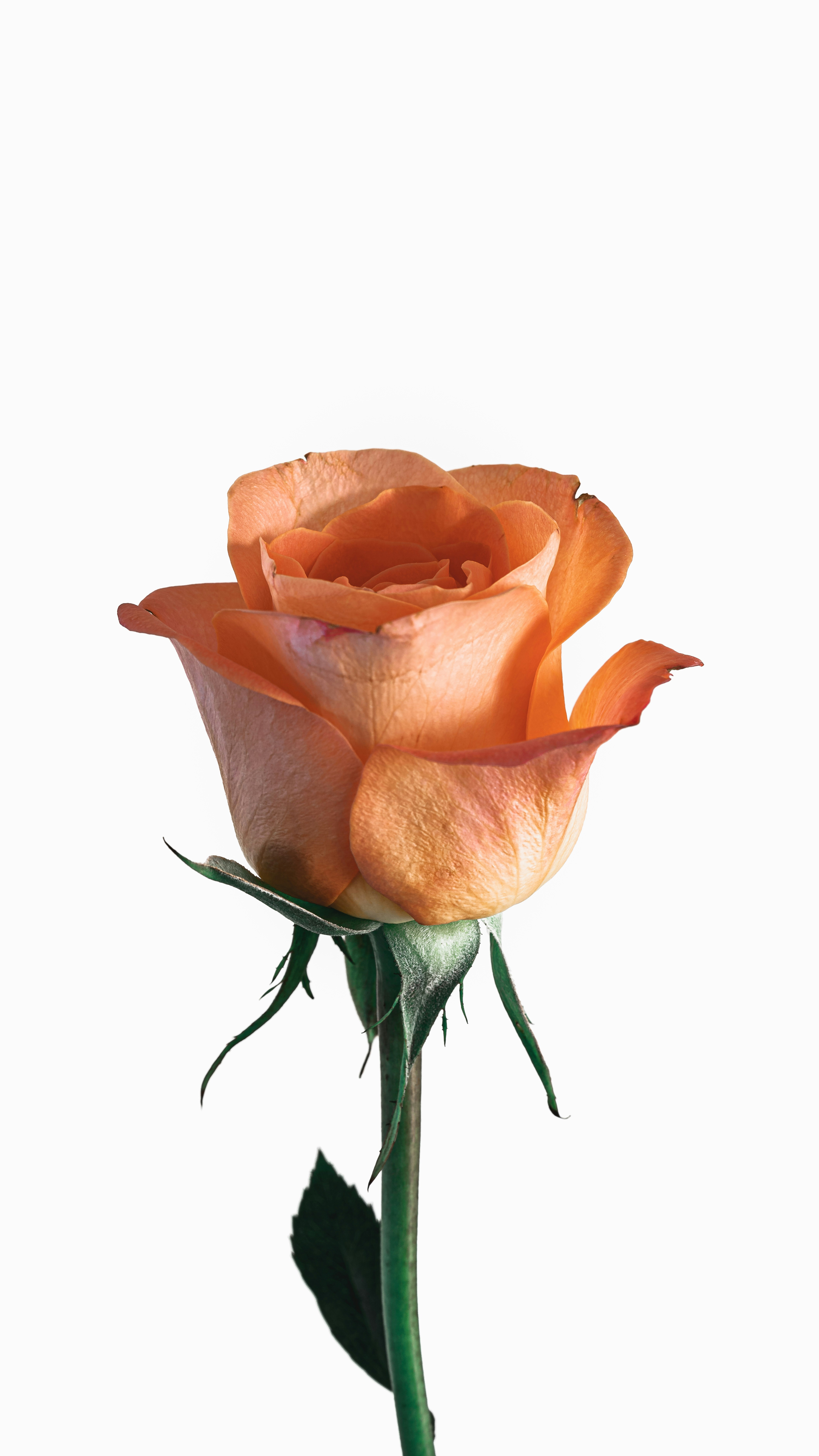 Photo by hakansundblad