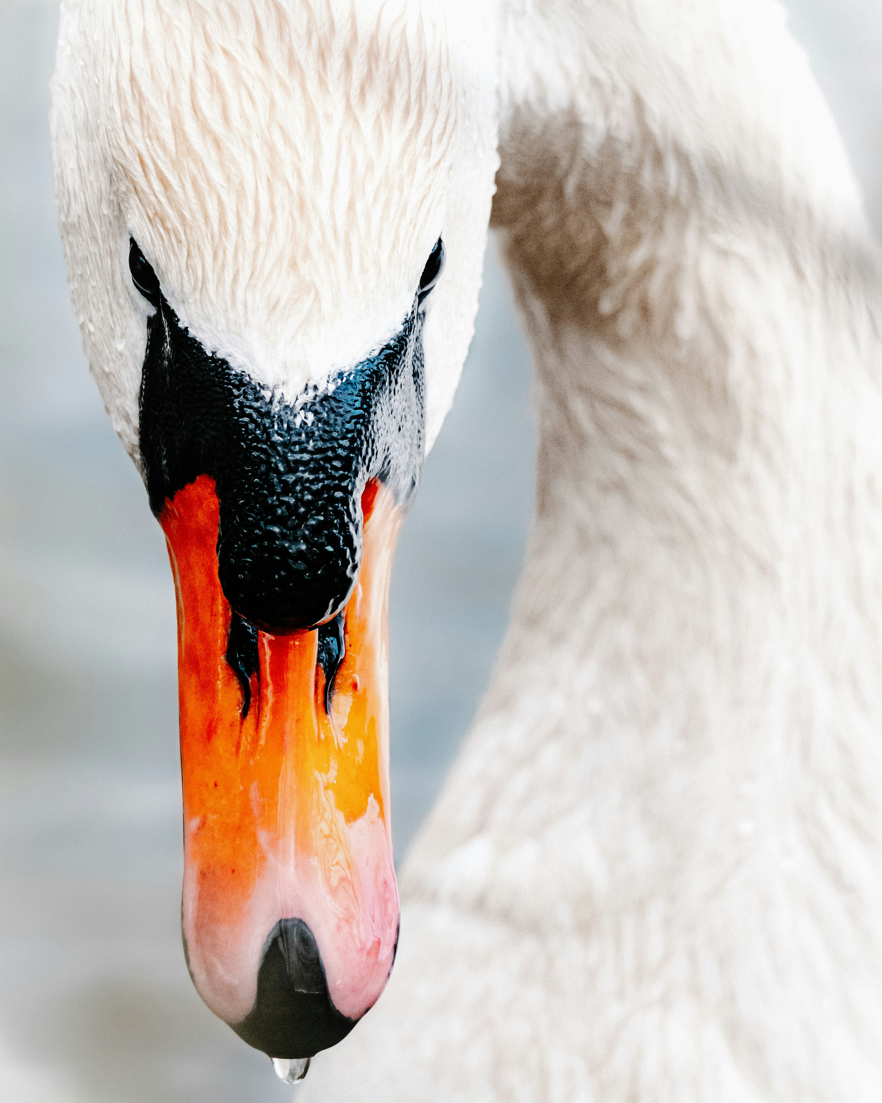 Photo by hakansundblad