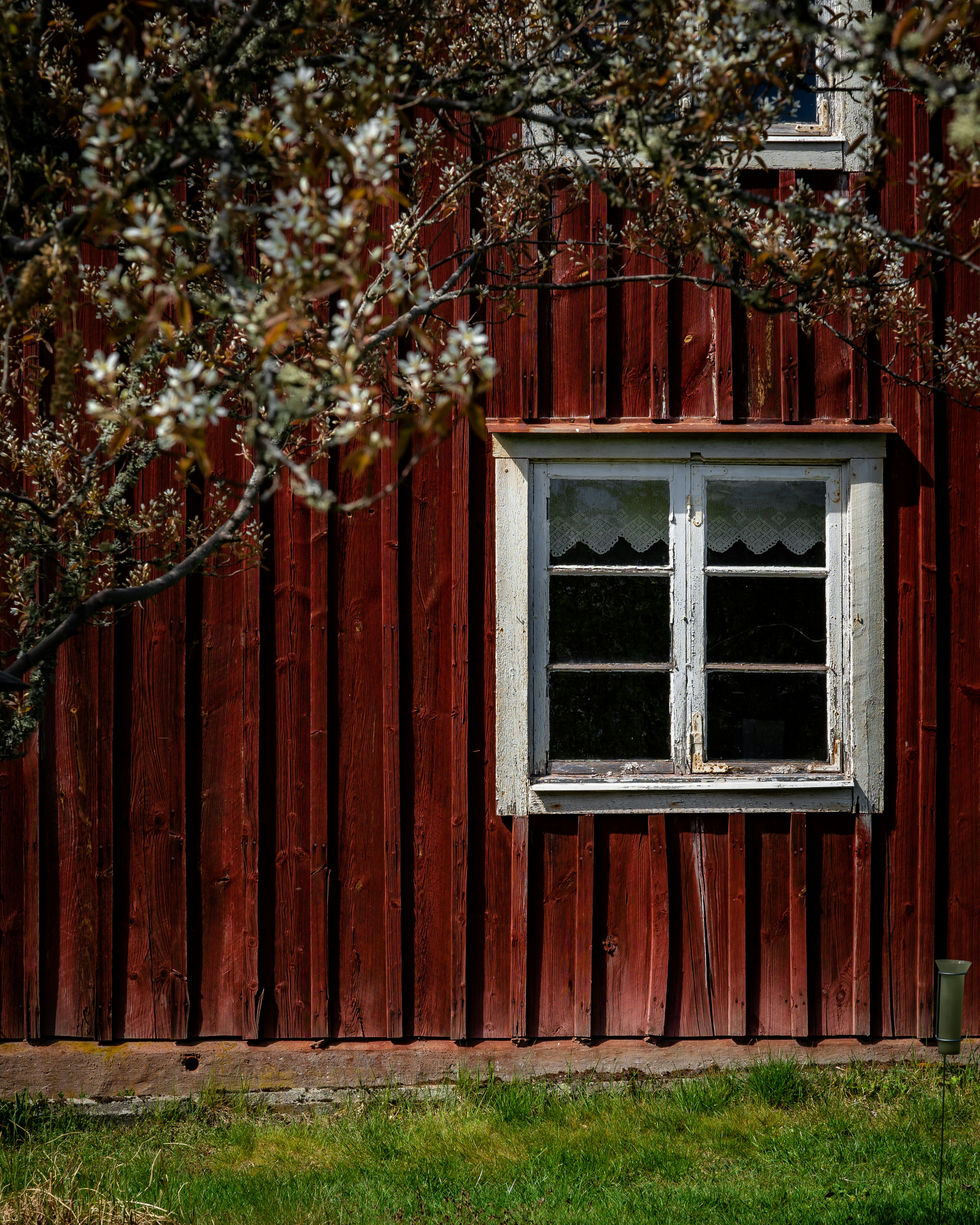 Photo by hakansundblad