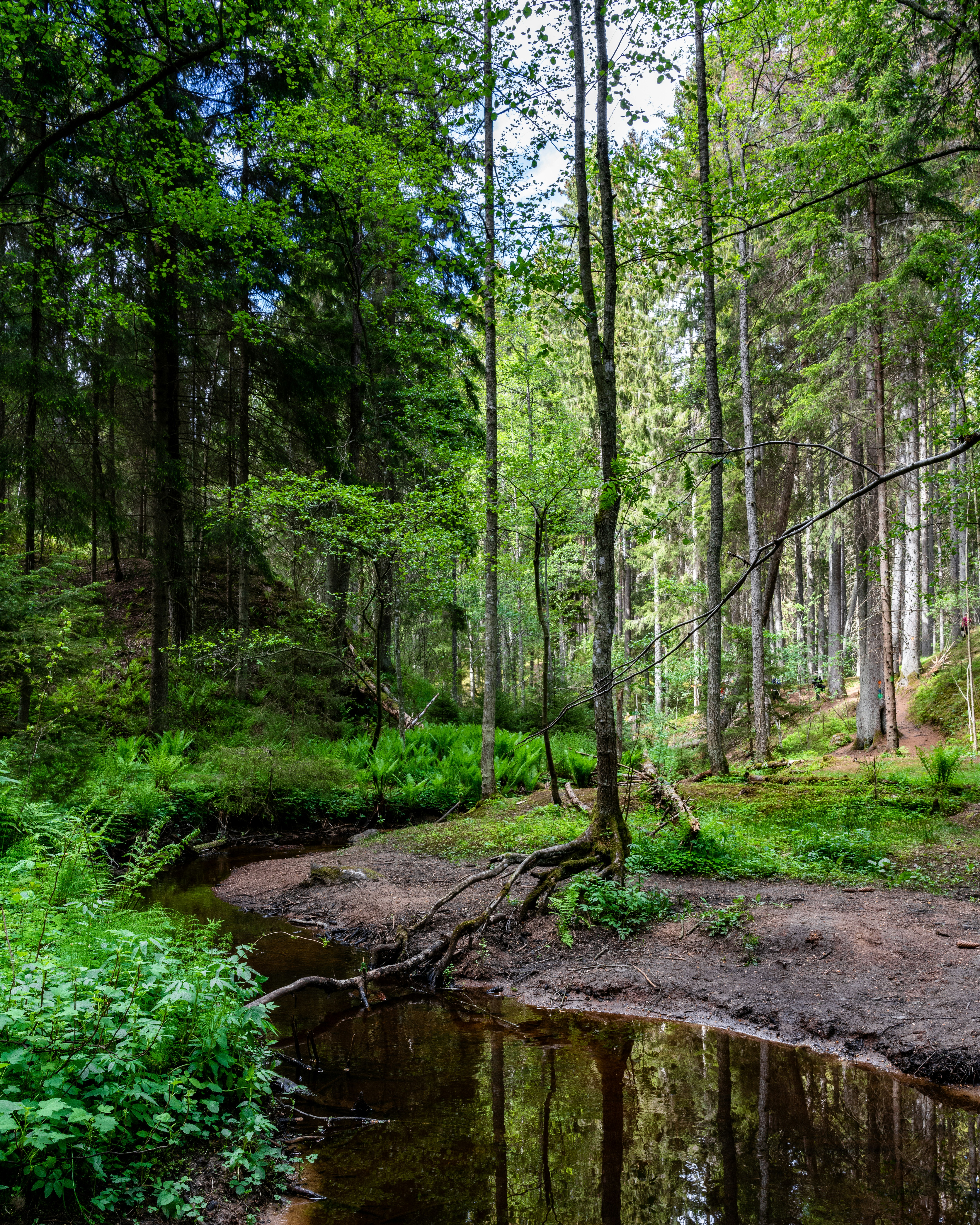 Photo by hakansundblad