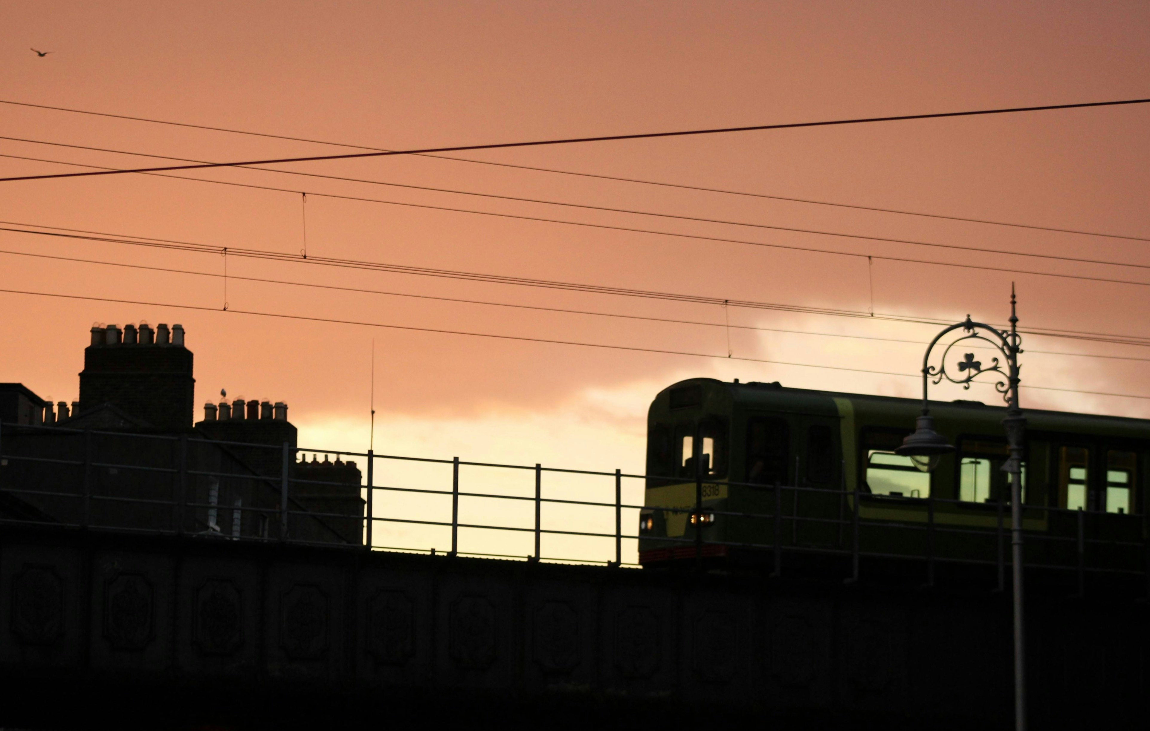 Photo by aurnytoraink