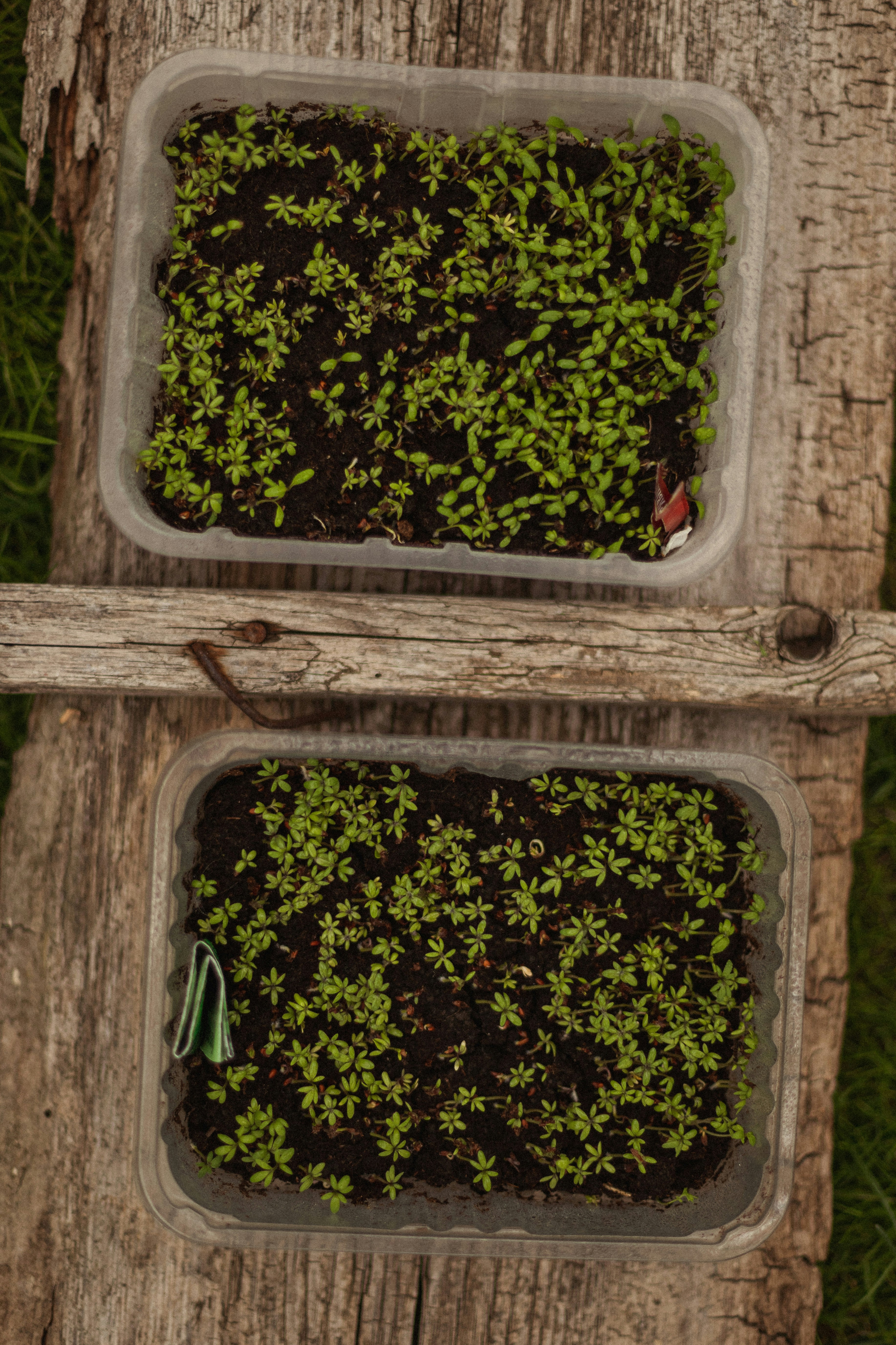 a planter box with plants in it