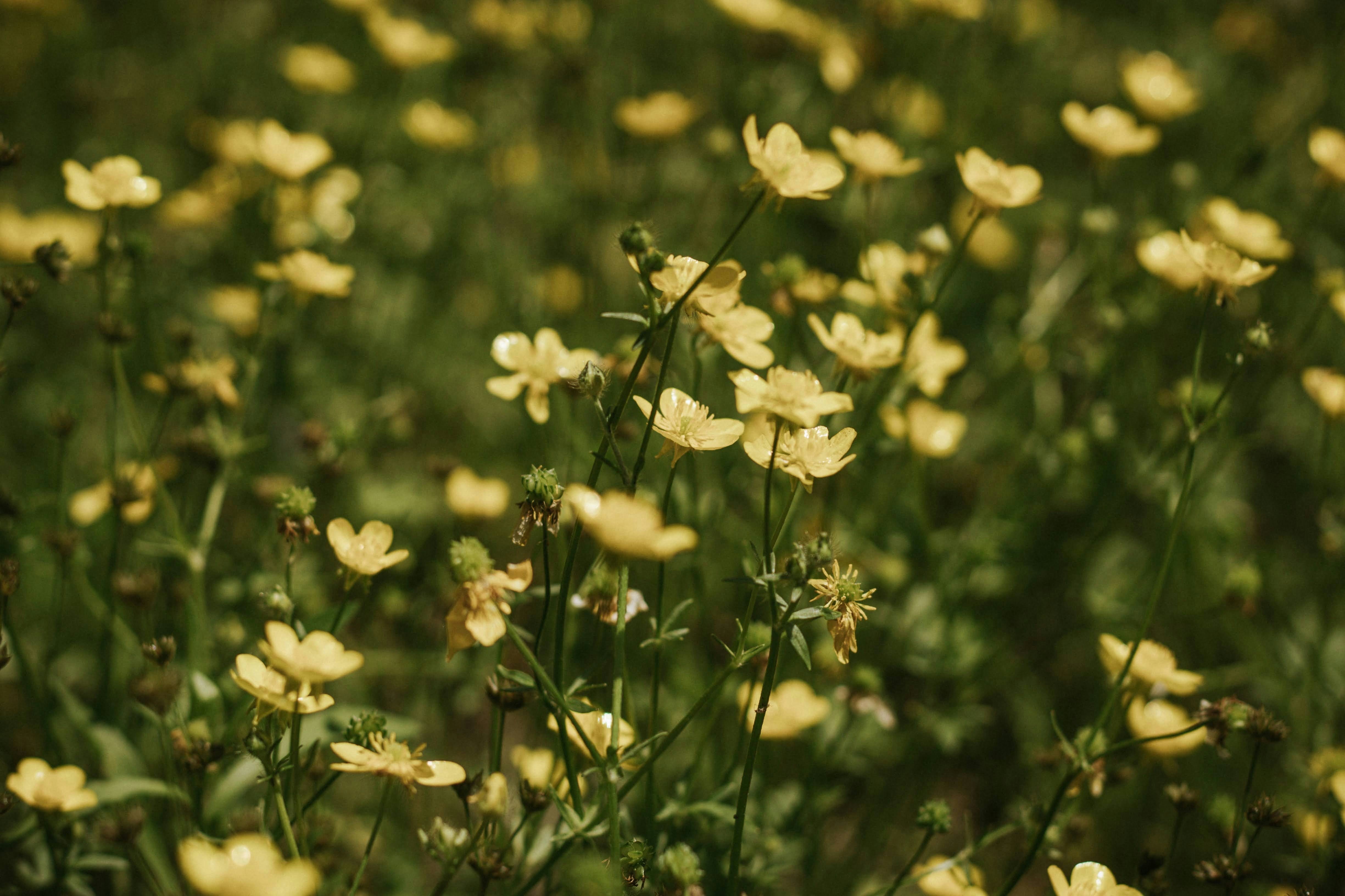 Photo by brice_cooper18