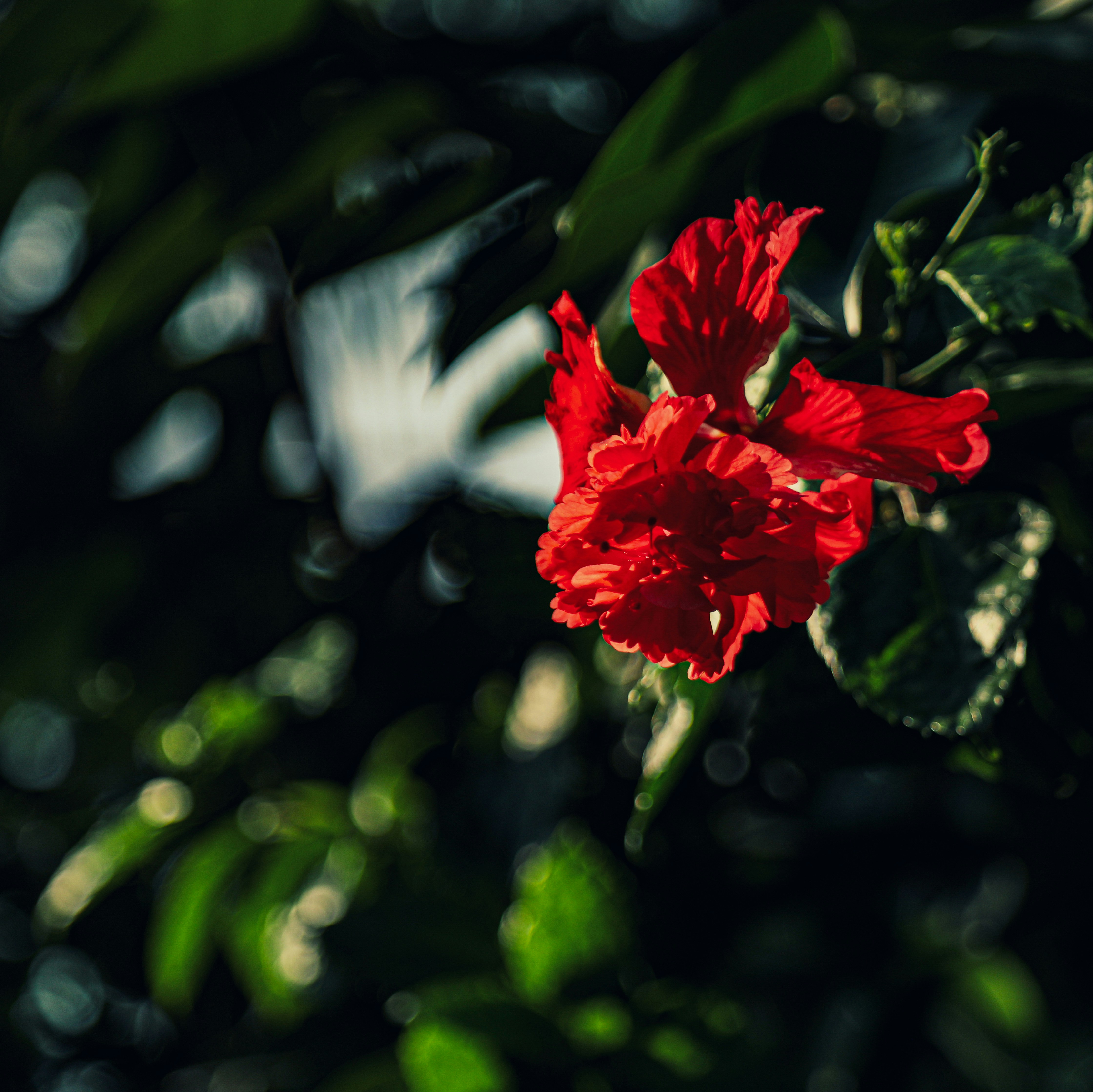 Photo by zachariahjr97