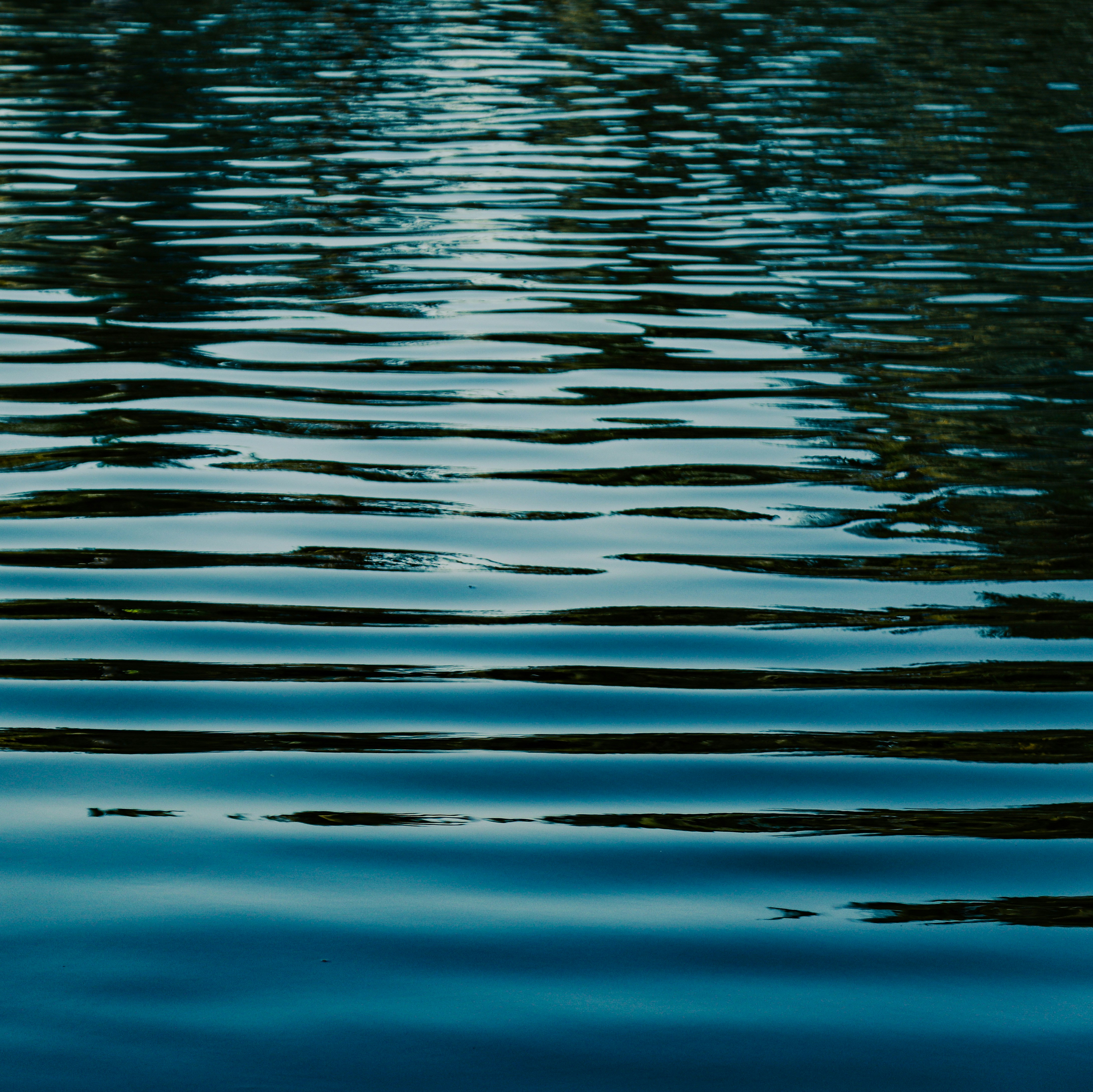 Photo by zachariahjr97