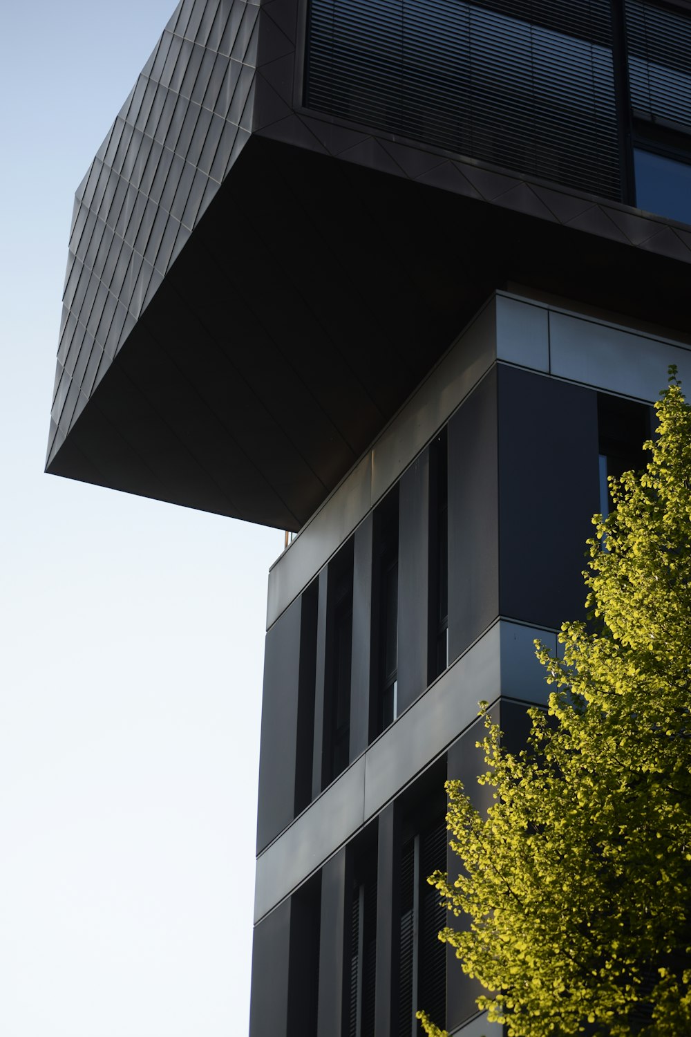 Un edificio con un árbol delante