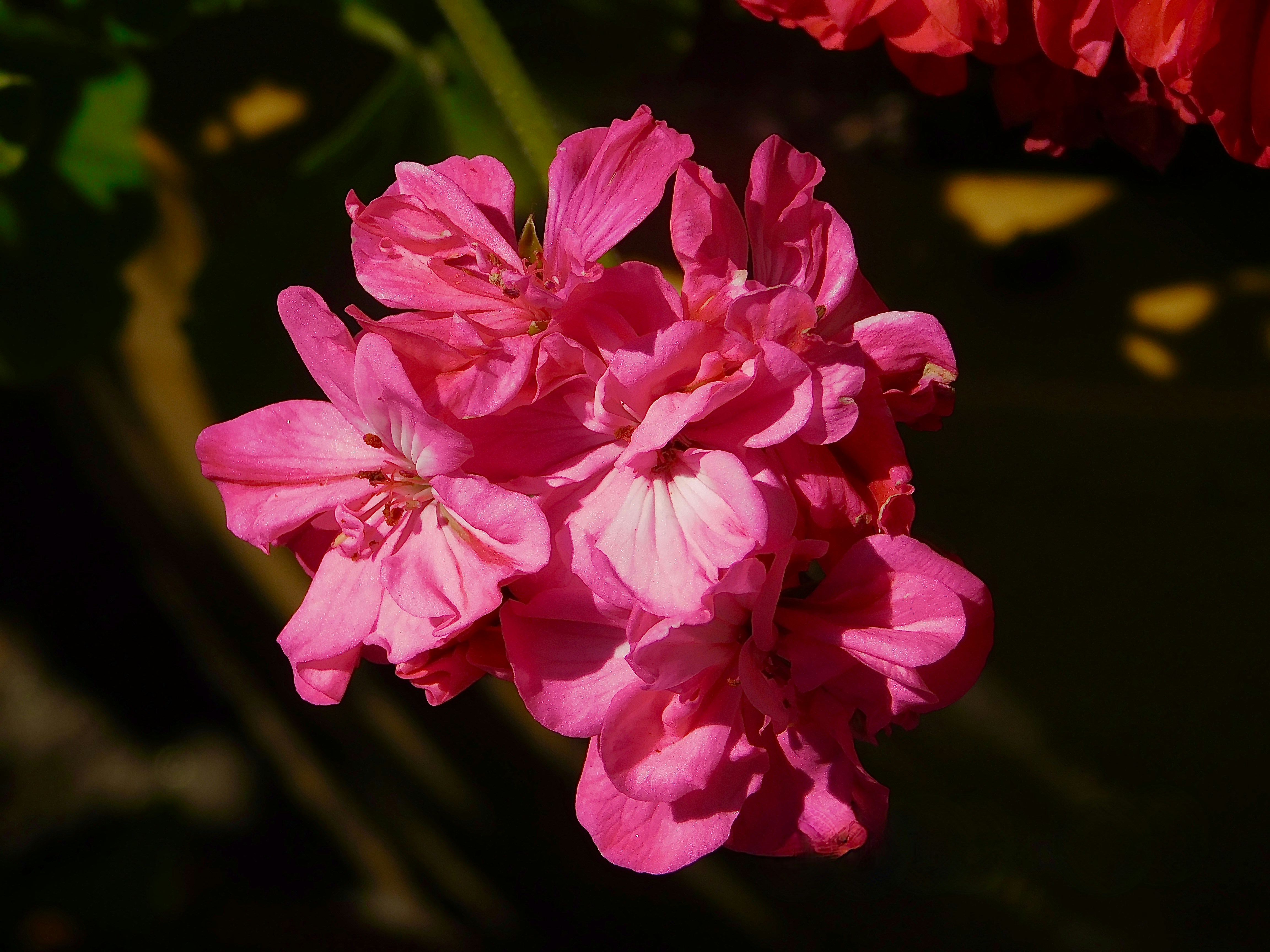 Photo by wrishi2004m