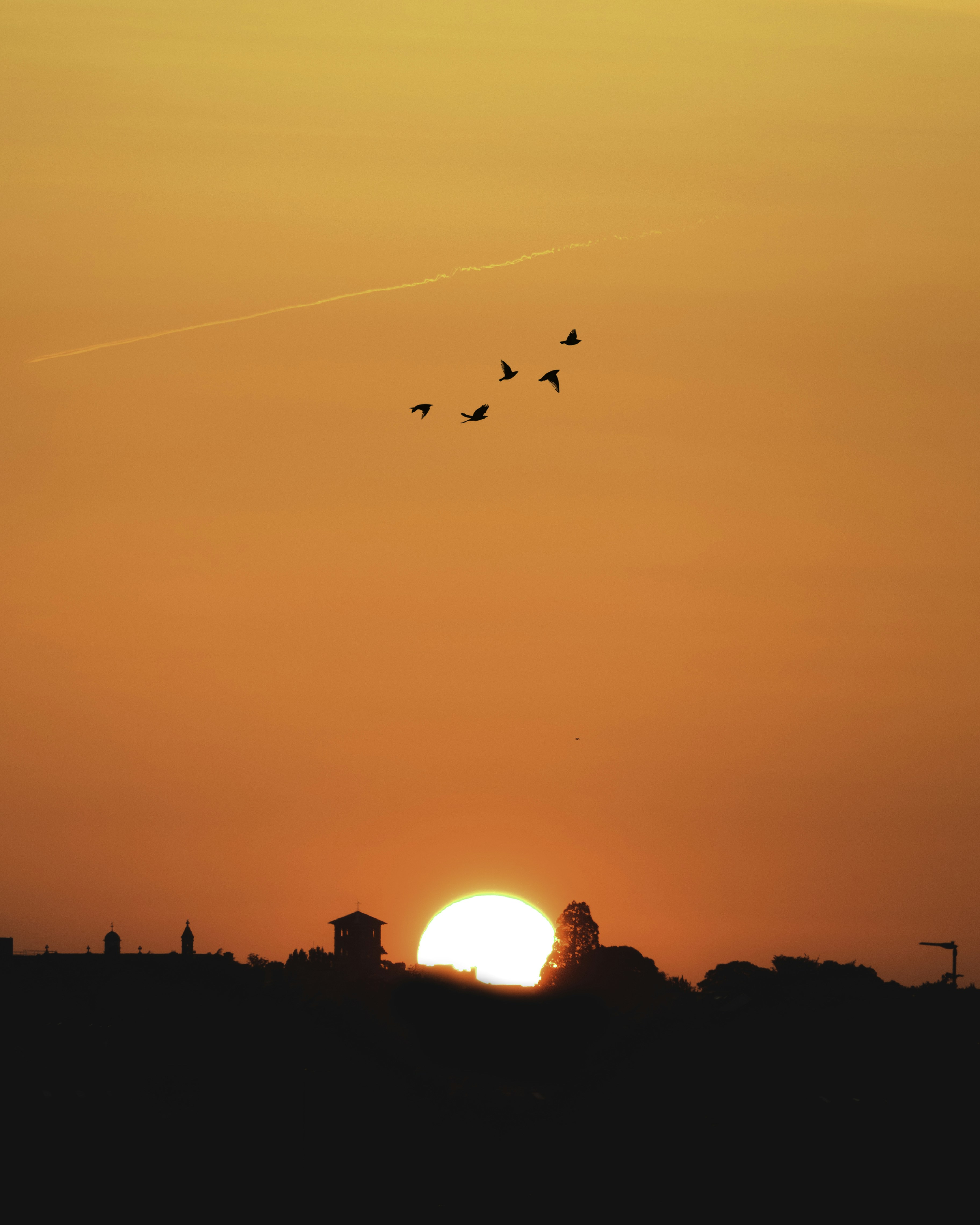 Eine Gruppe von Vögeln, die am Himmel fliegen
