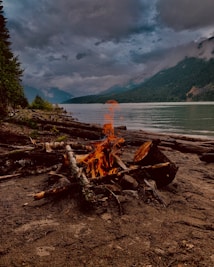 A serene lakeside scene features a small campfire made of logs and branches on a sandy shore. The background shows a calm lake surrounded by lush green mountains under a cloudy sky. The overall atmosphere is tranquil with a sense of wilderness.