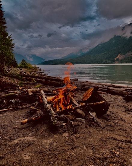 A serene lakeside scene features a small campfire made of logs and branches on a sandy shore. The background shows a calm lake surrounded by lush green mountains under a cloudy sky. The overall atmosphere is tranquil with a sense of wilderness.