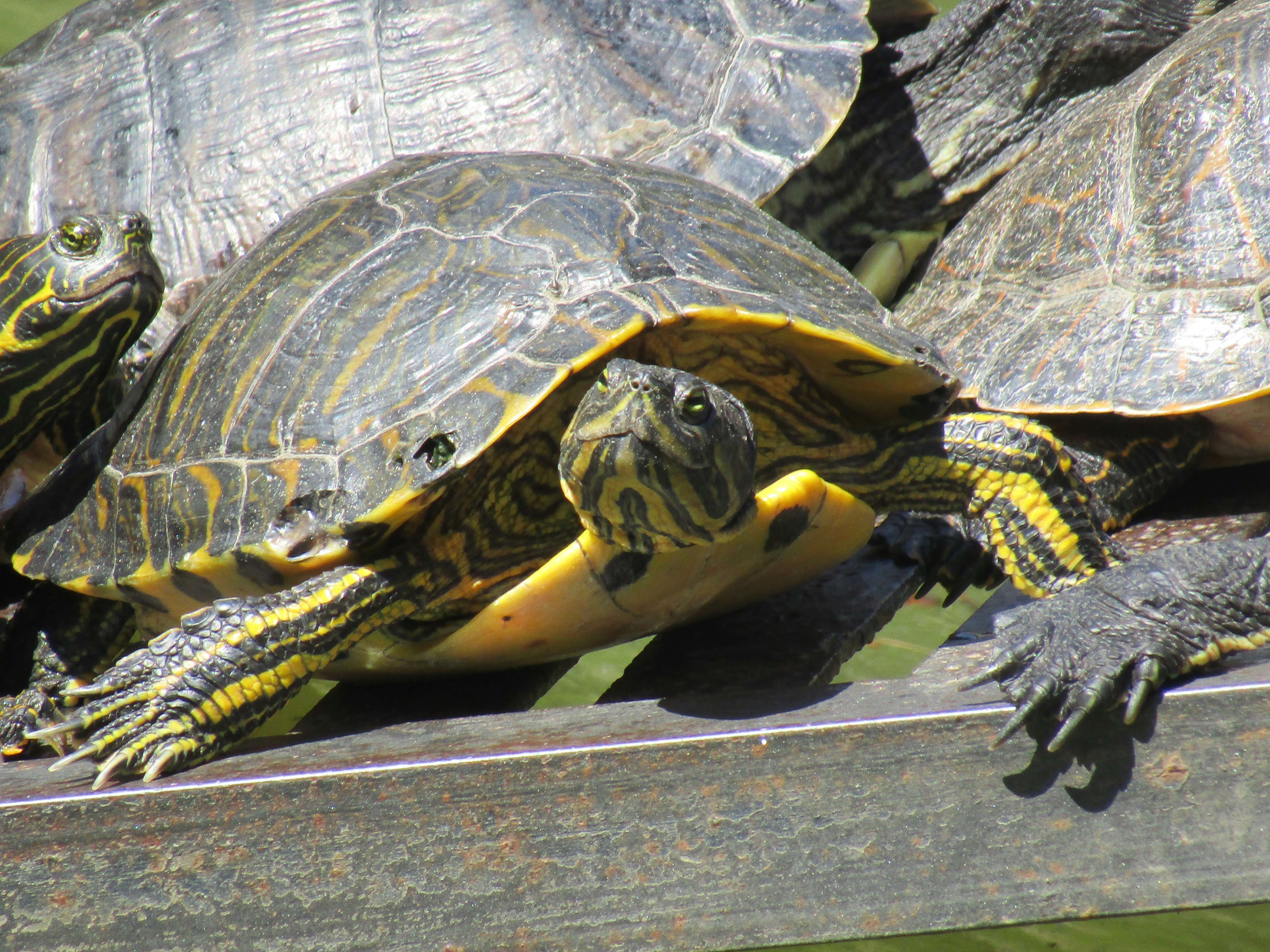 Photo by romyvreeswijk