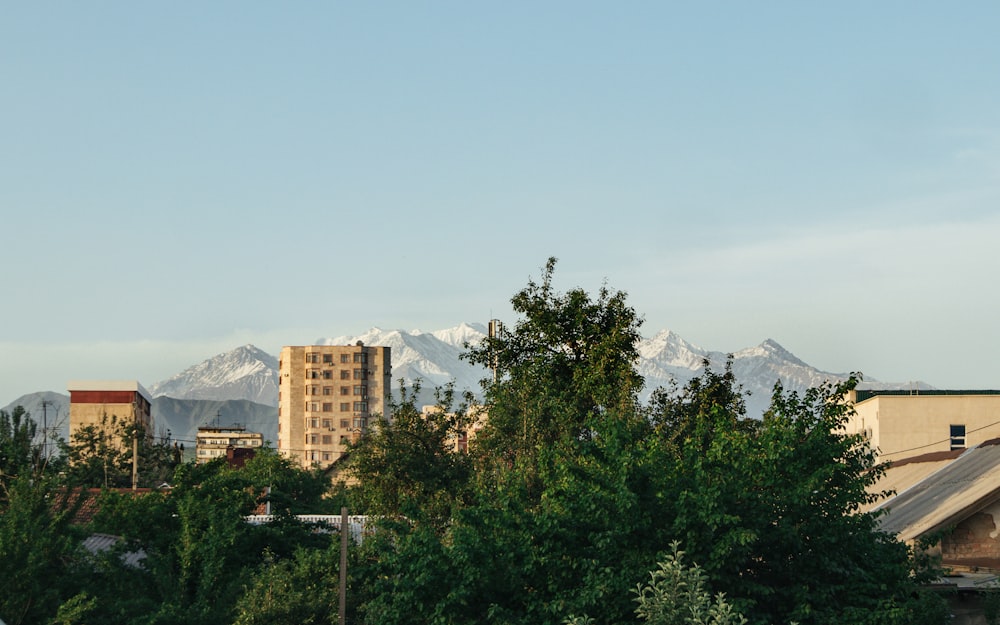 a group of buildings and trees with mountains in the background