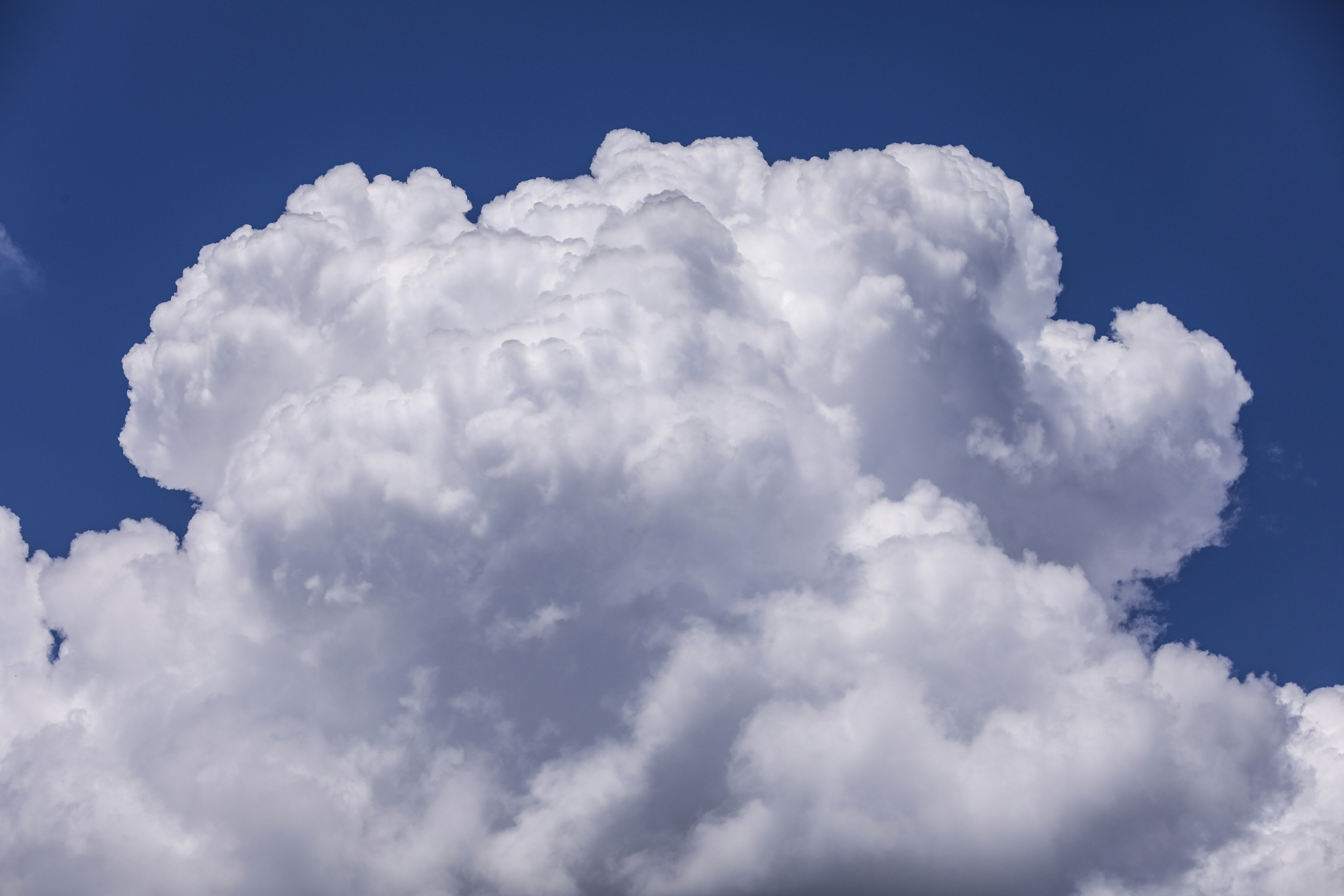 Photo by rocinante_11