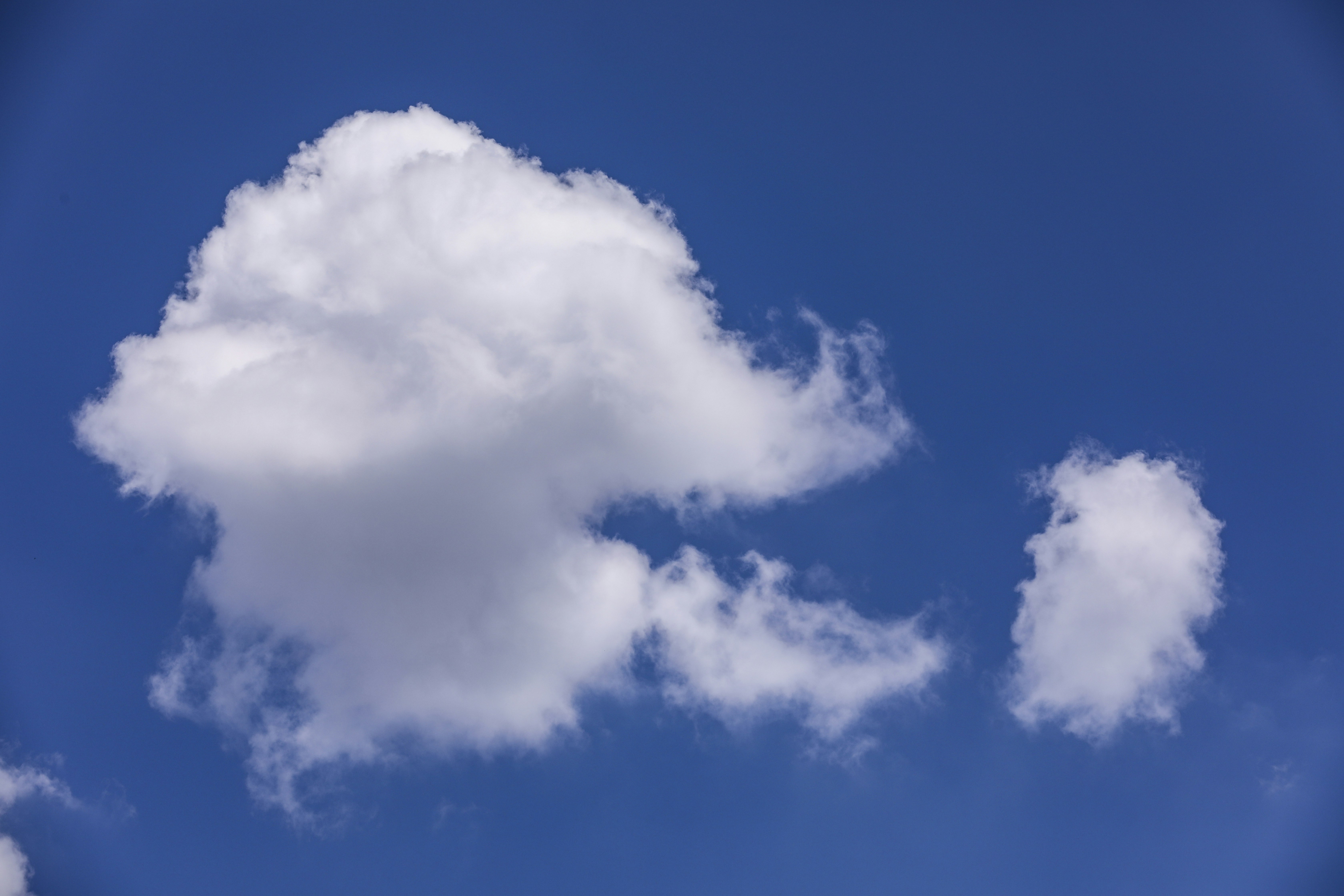 Photo by rocinante_11