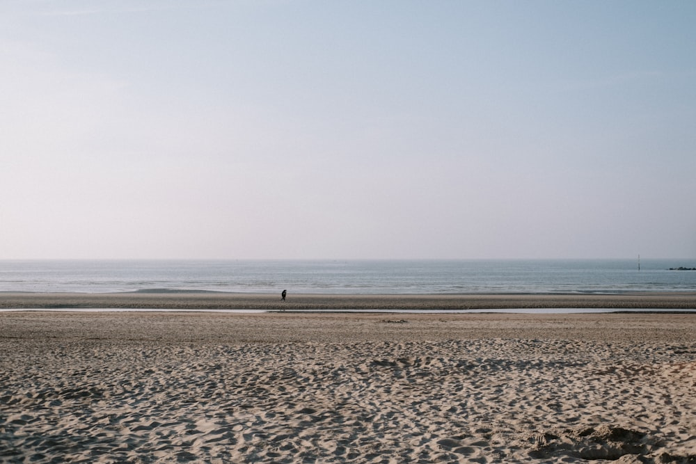 una persona che cammina su una spiaggia