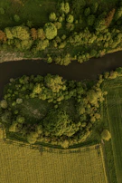 Aerial view of Quindío's lush green landscapes symbolizing growth and partnership.