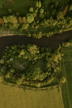 A scenic aerial view of the lush green landscape surrounding Rancho de Héctor in Tena, Colombia.