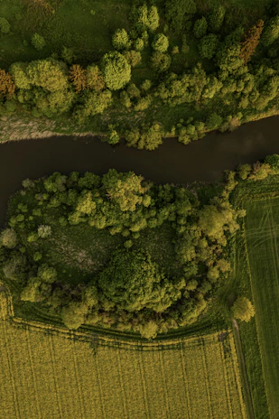 Aerial view of expansive cashew farms blending into the rich earth-toned landscape of Zambia.