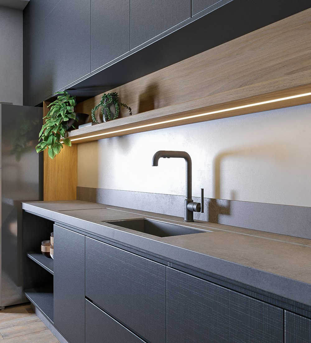 a kitchen with a plant on the counter