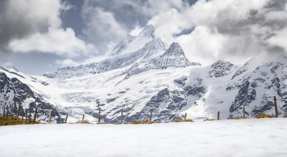 a snowy mountain range