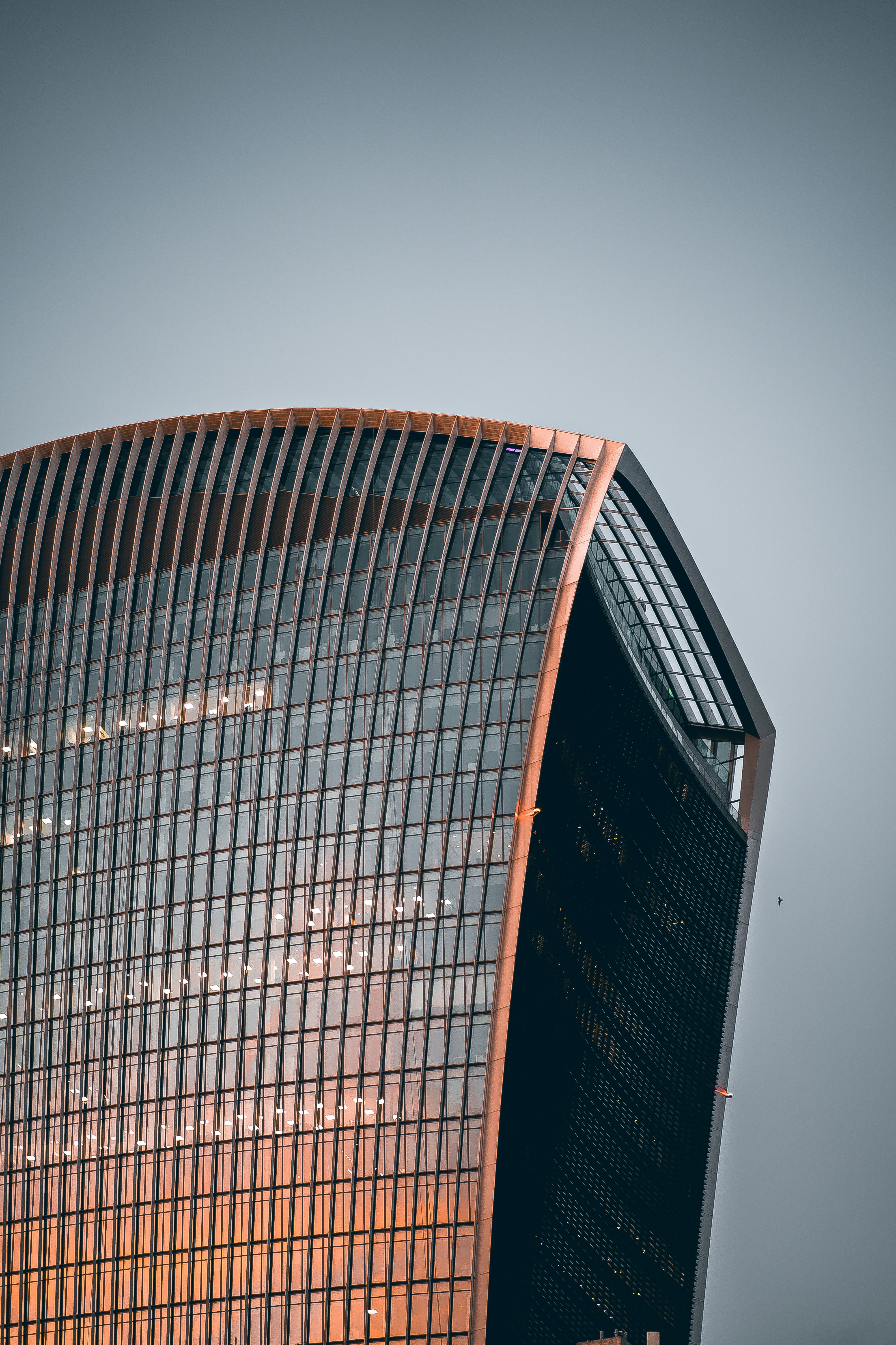 Photo by shields_mcmxcix