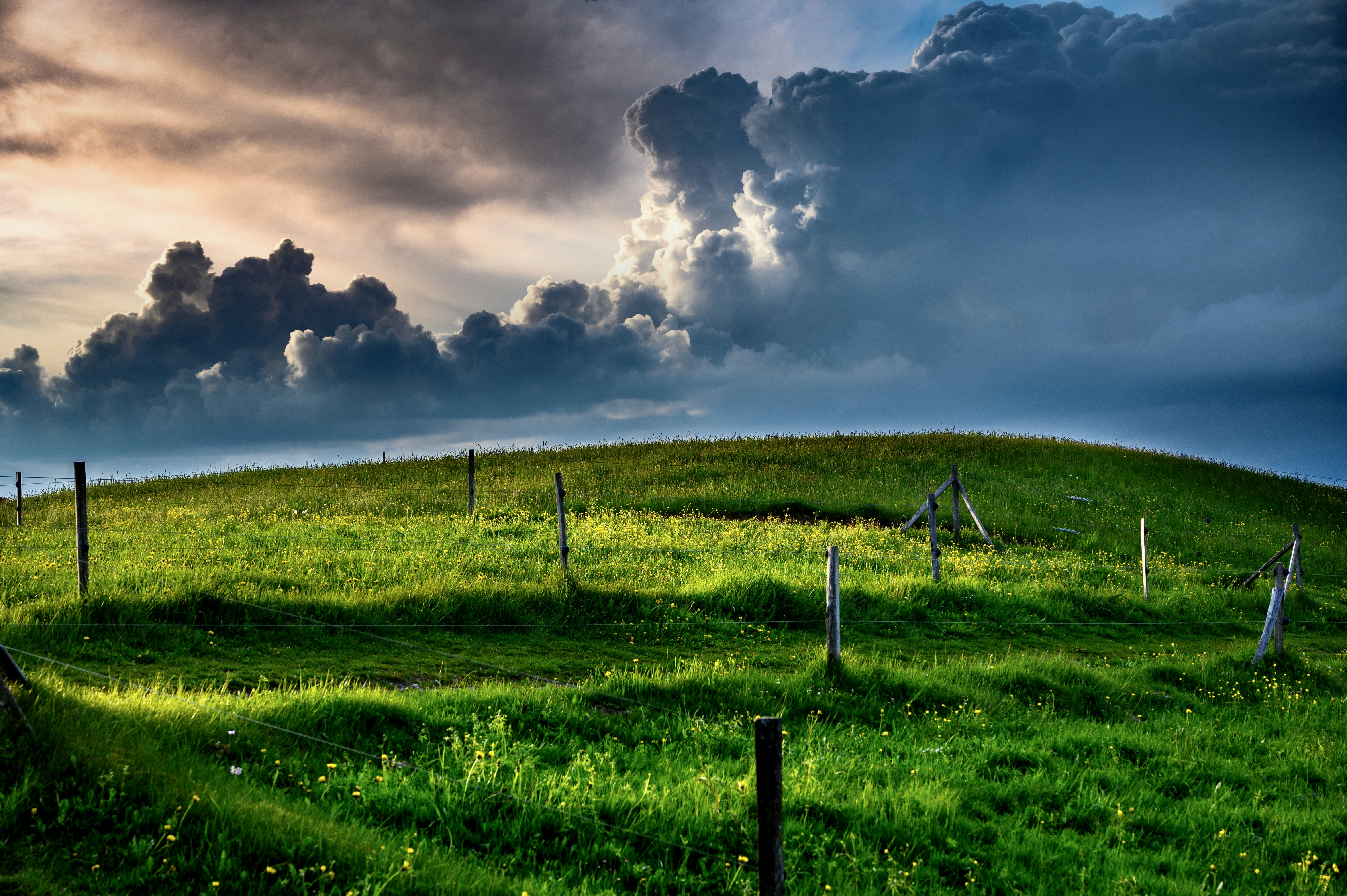 Photo by fastfaalnature