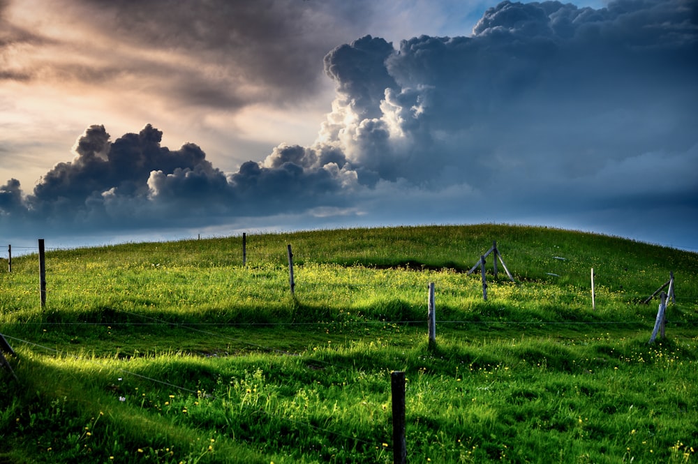 Un campo de hierba verde