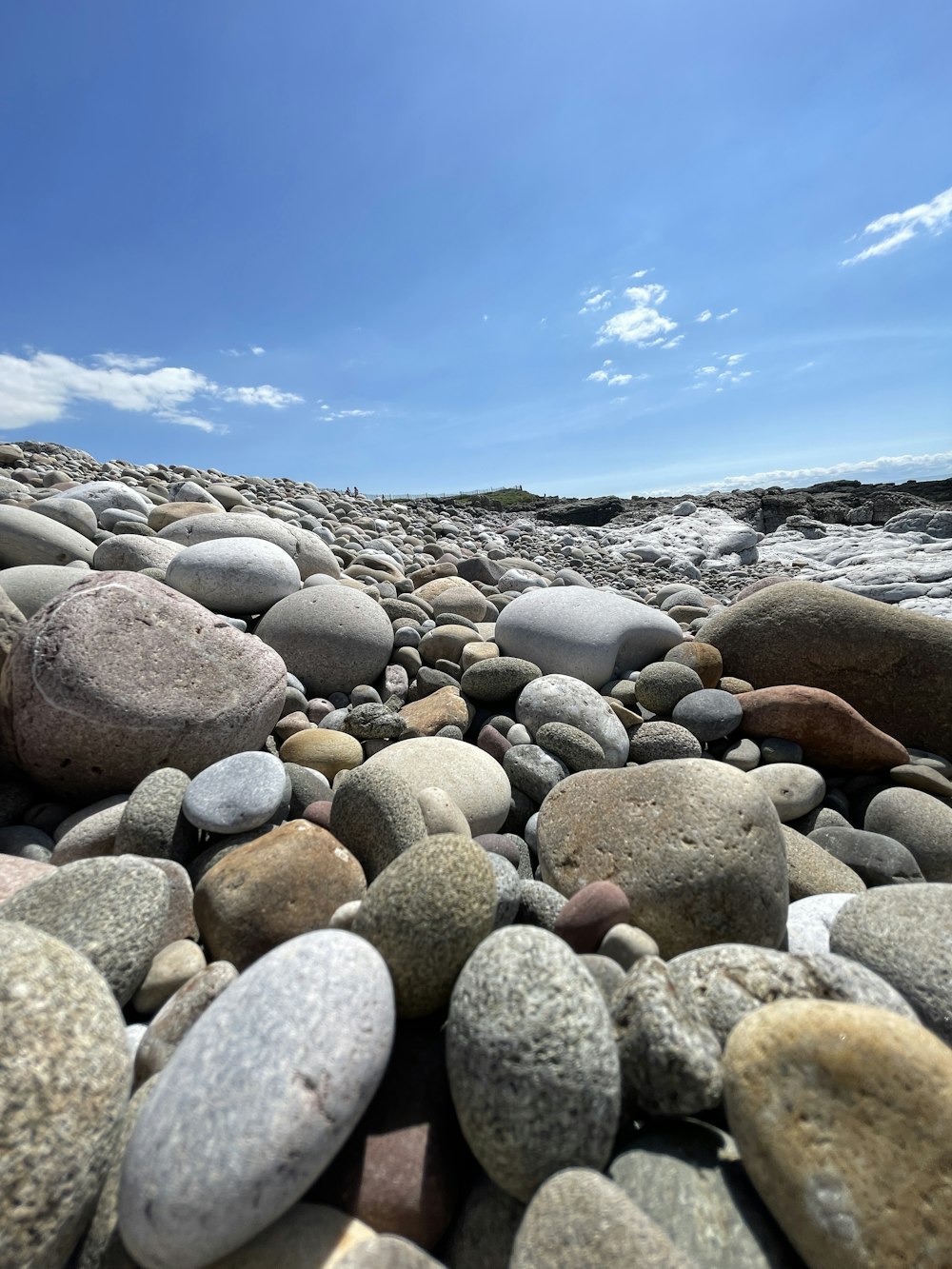 a large group of rocks