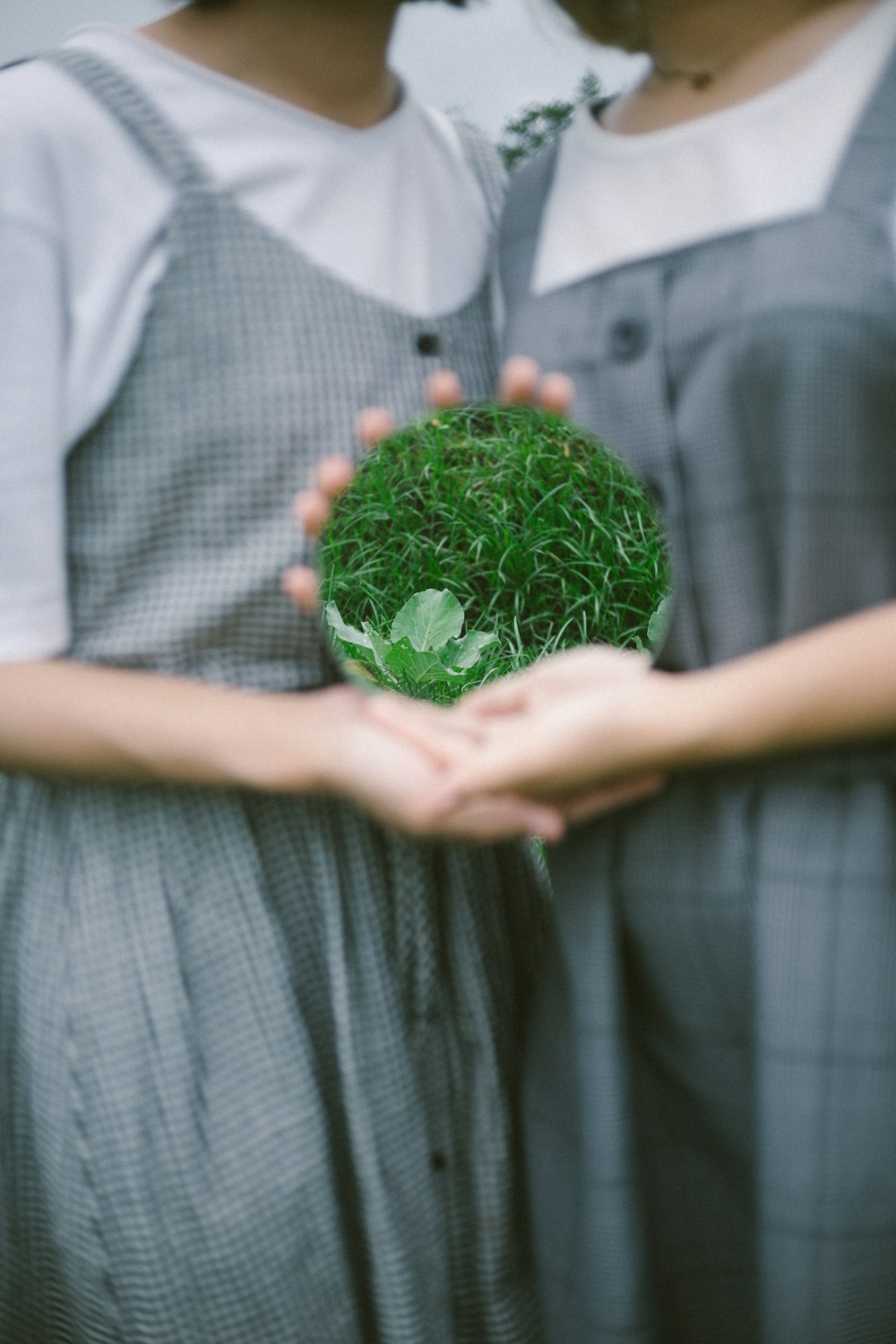 a person holding a plant