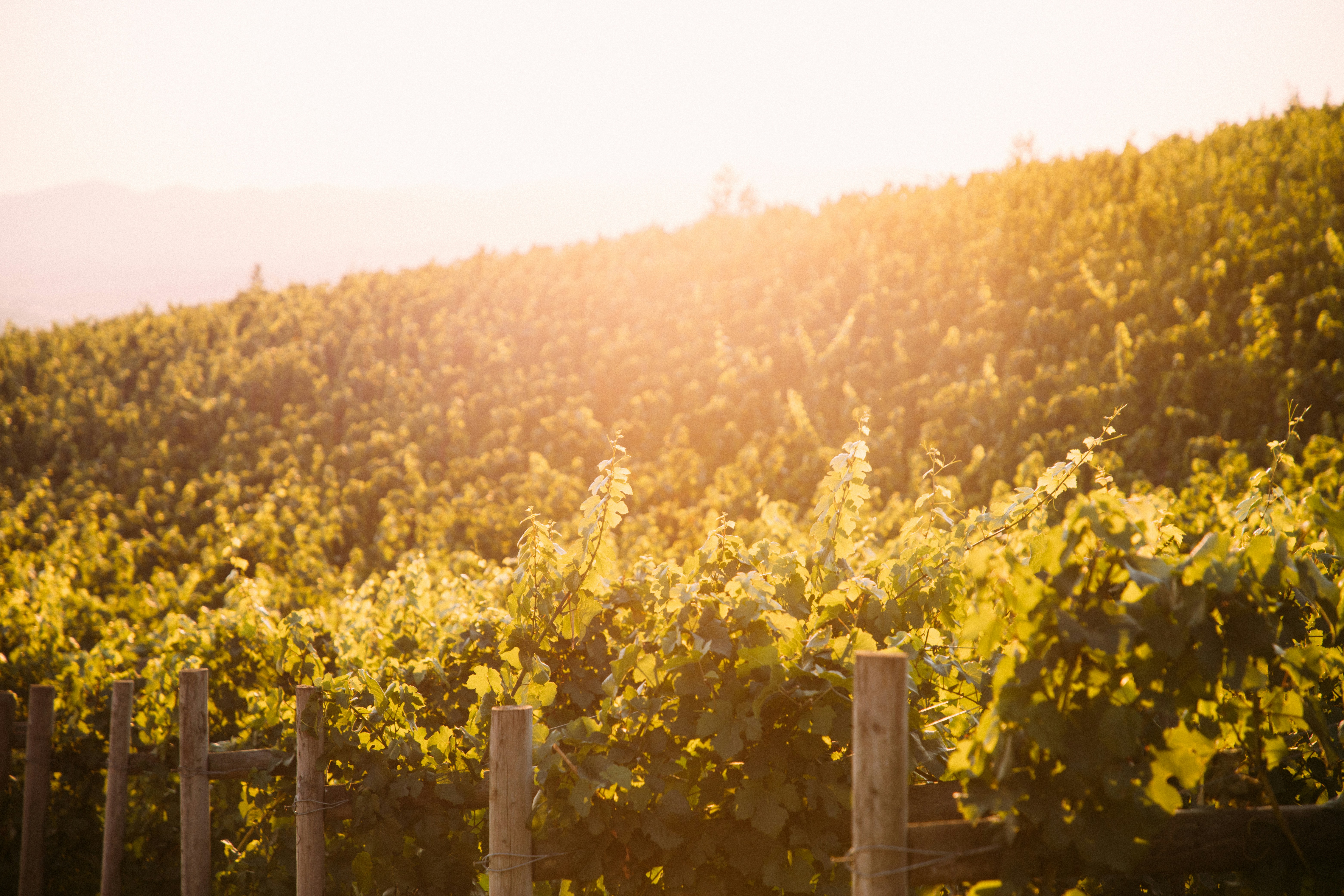 Photo by kelseycurtis