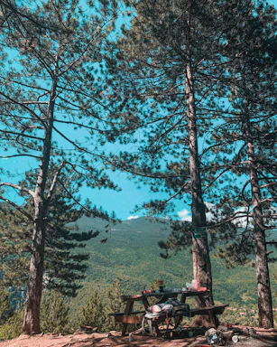 A rugged outdoor scene with hunting gear laid out on a wooden table, surrounded by pine trees.