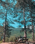 A picturesque forest scene featuring tall pine trees framing the image. In the foreground sits a wooden picnic table with various items on it, including a backpack and food supplies. The background displays a vast expanse of green, forested hills under a bright blue sky.