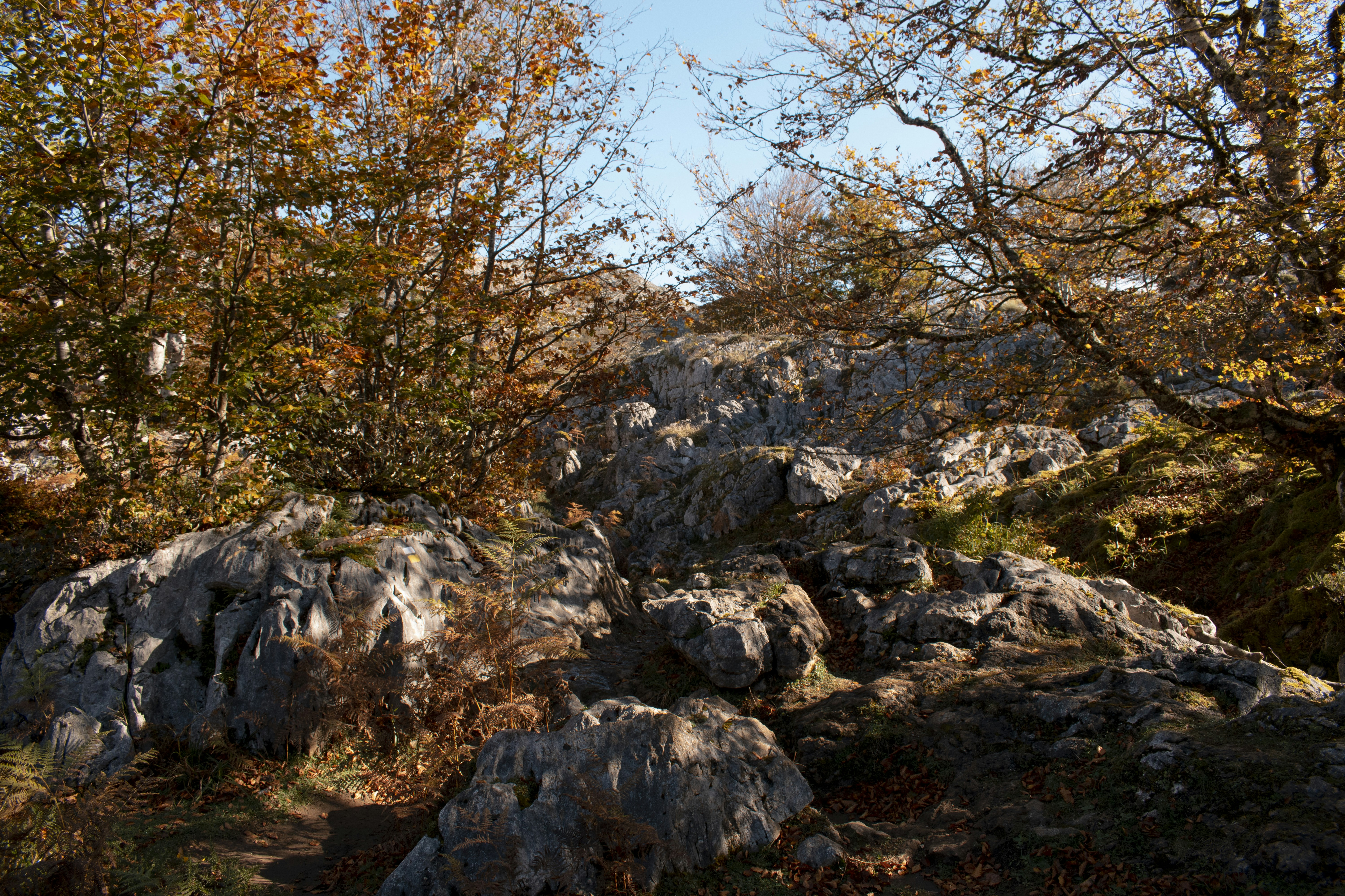 Photo by yaizagrafica