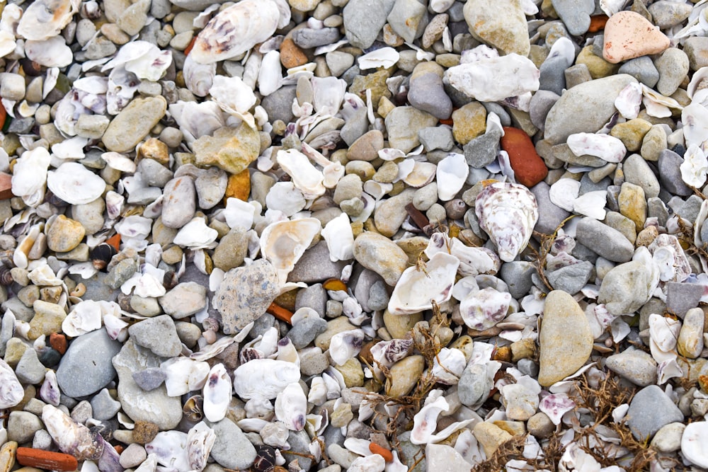 a large group of small rocks