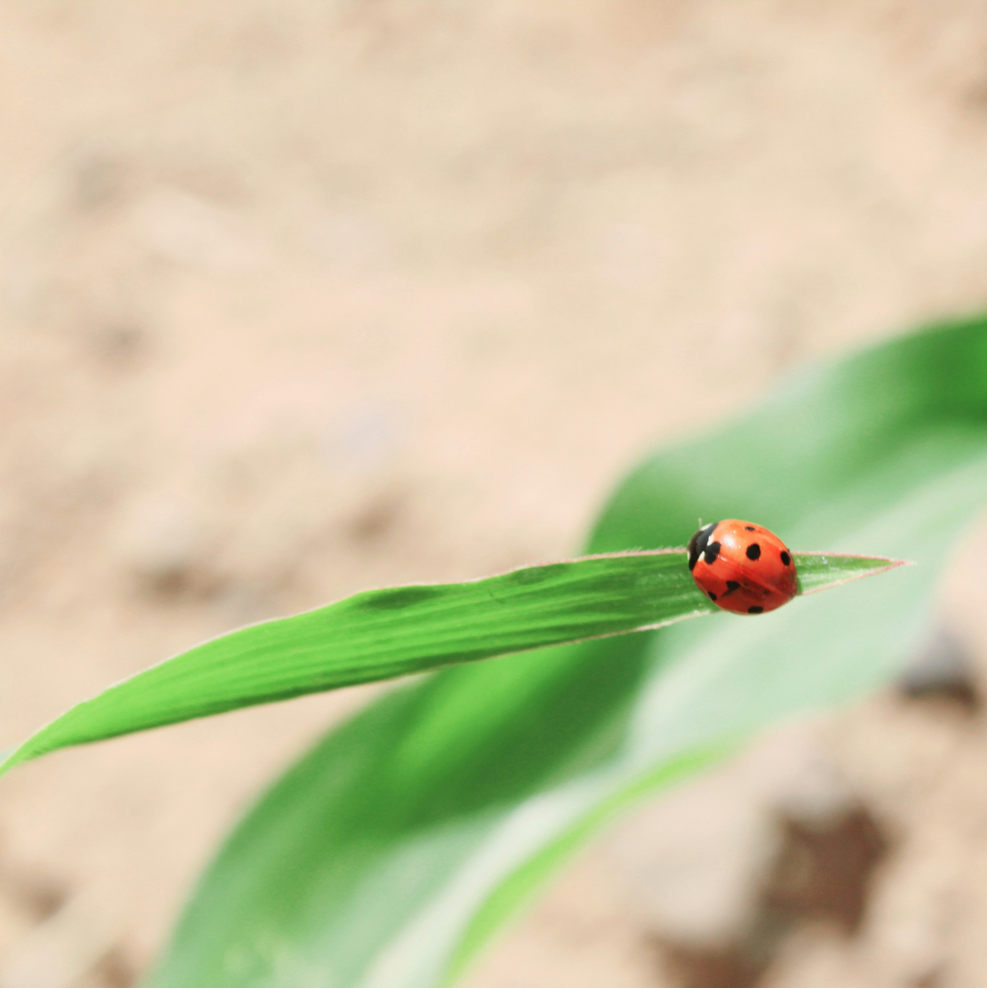 Photo by manavimoghadam