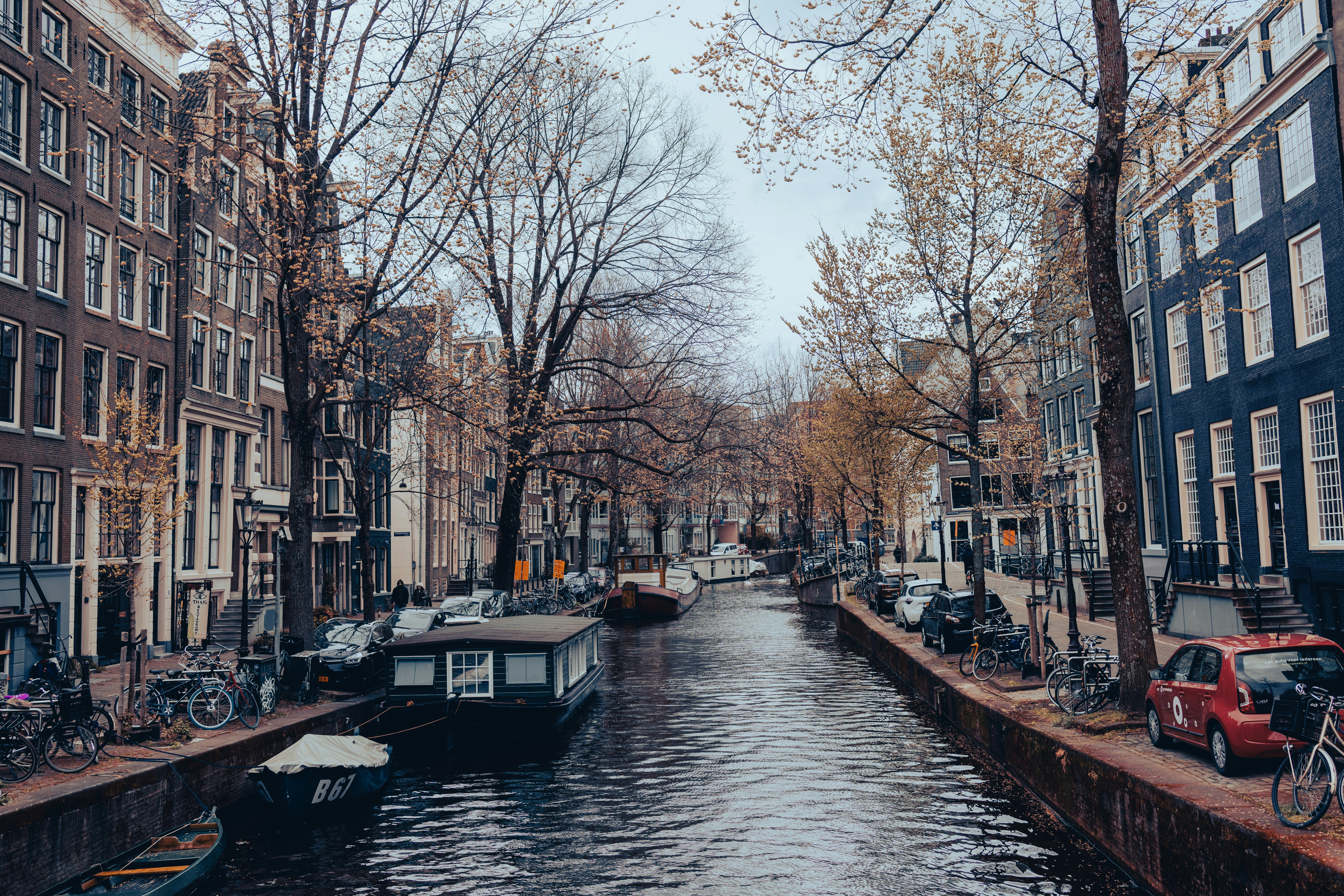 Photo by ritacandeias