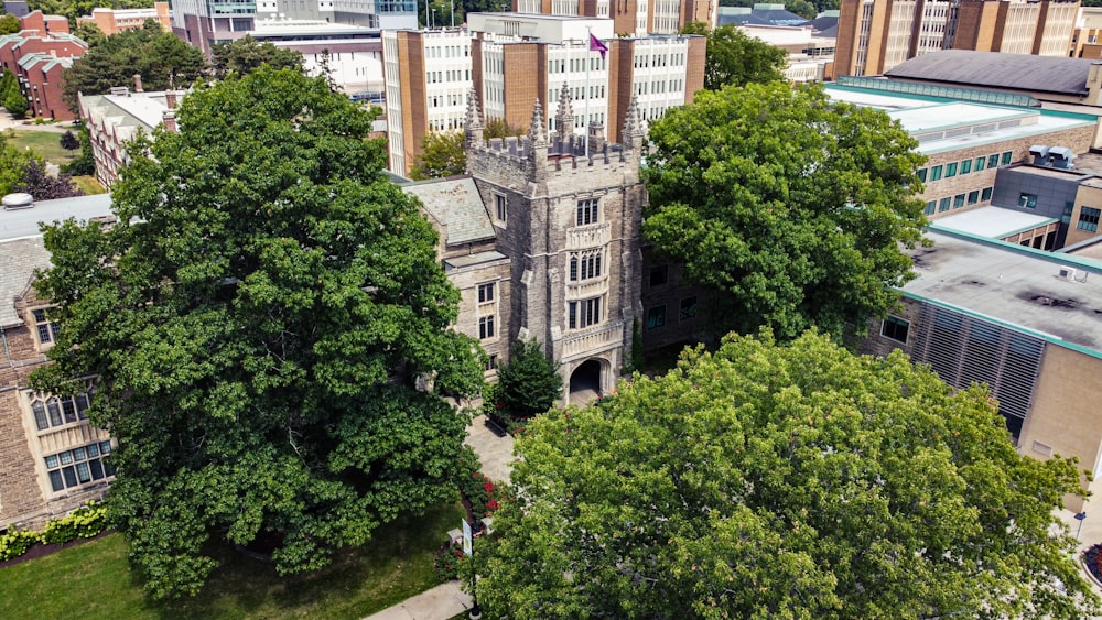 a group of trees in front of a building