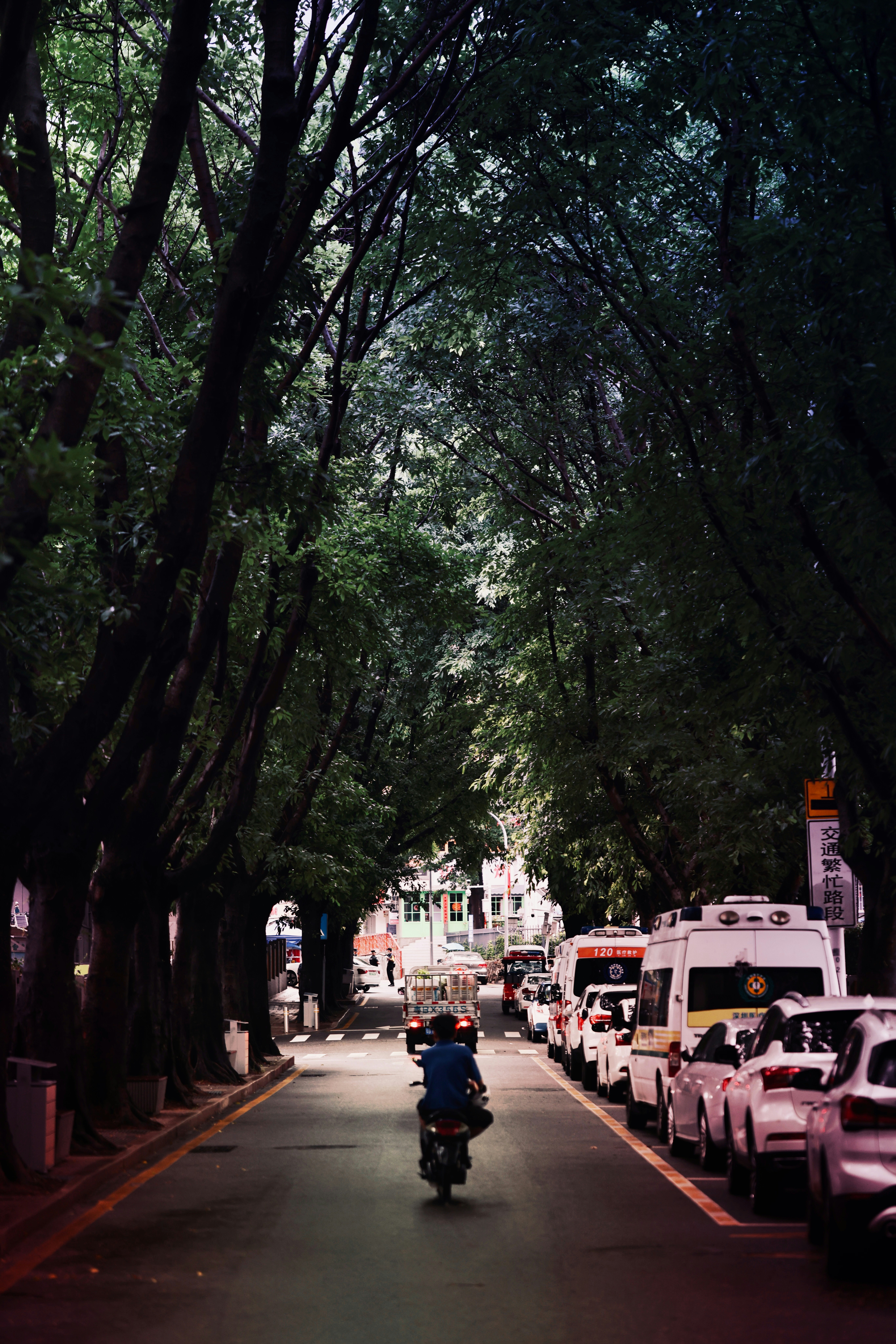 Photo by dickenslin76