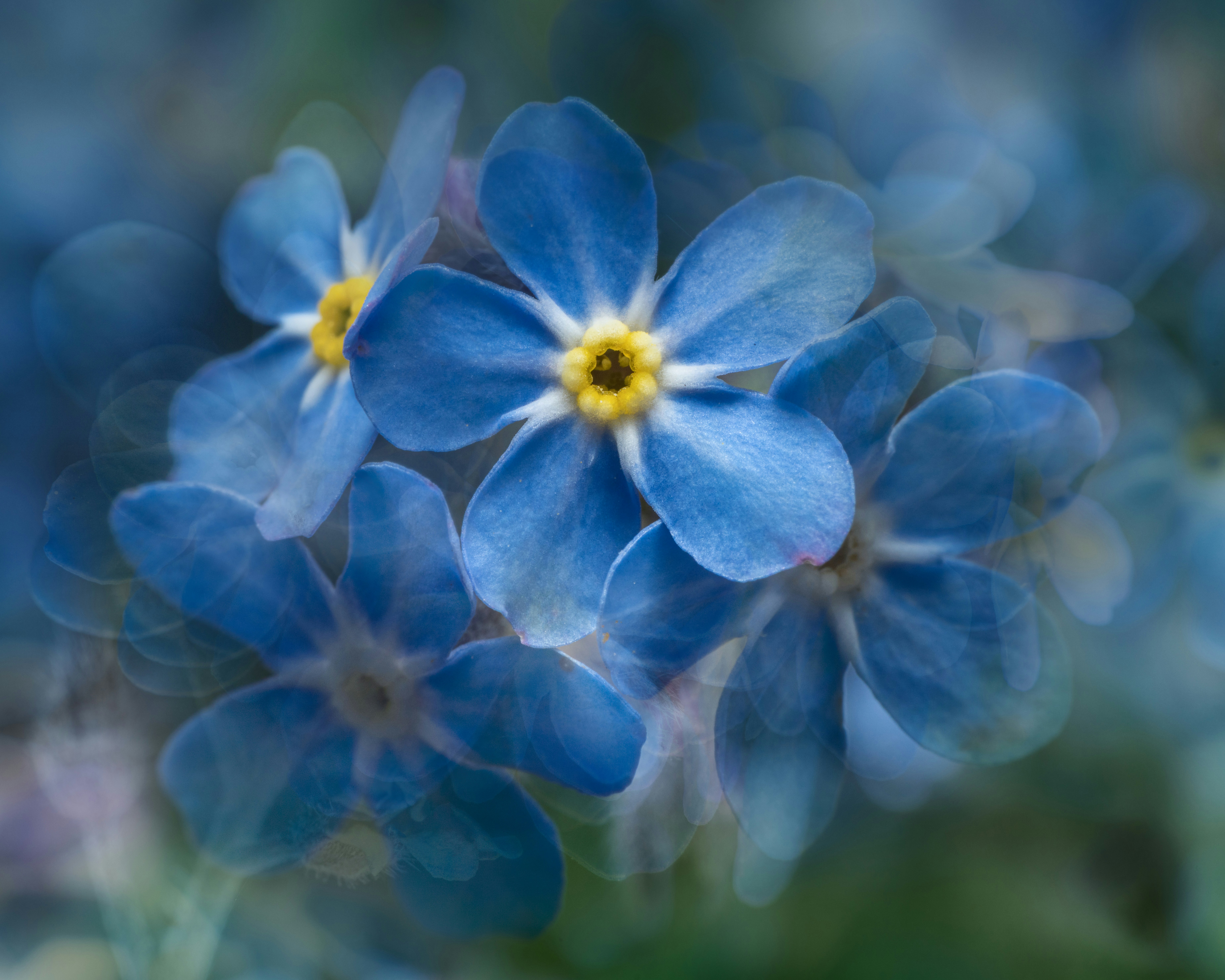 Photo by skylerewing